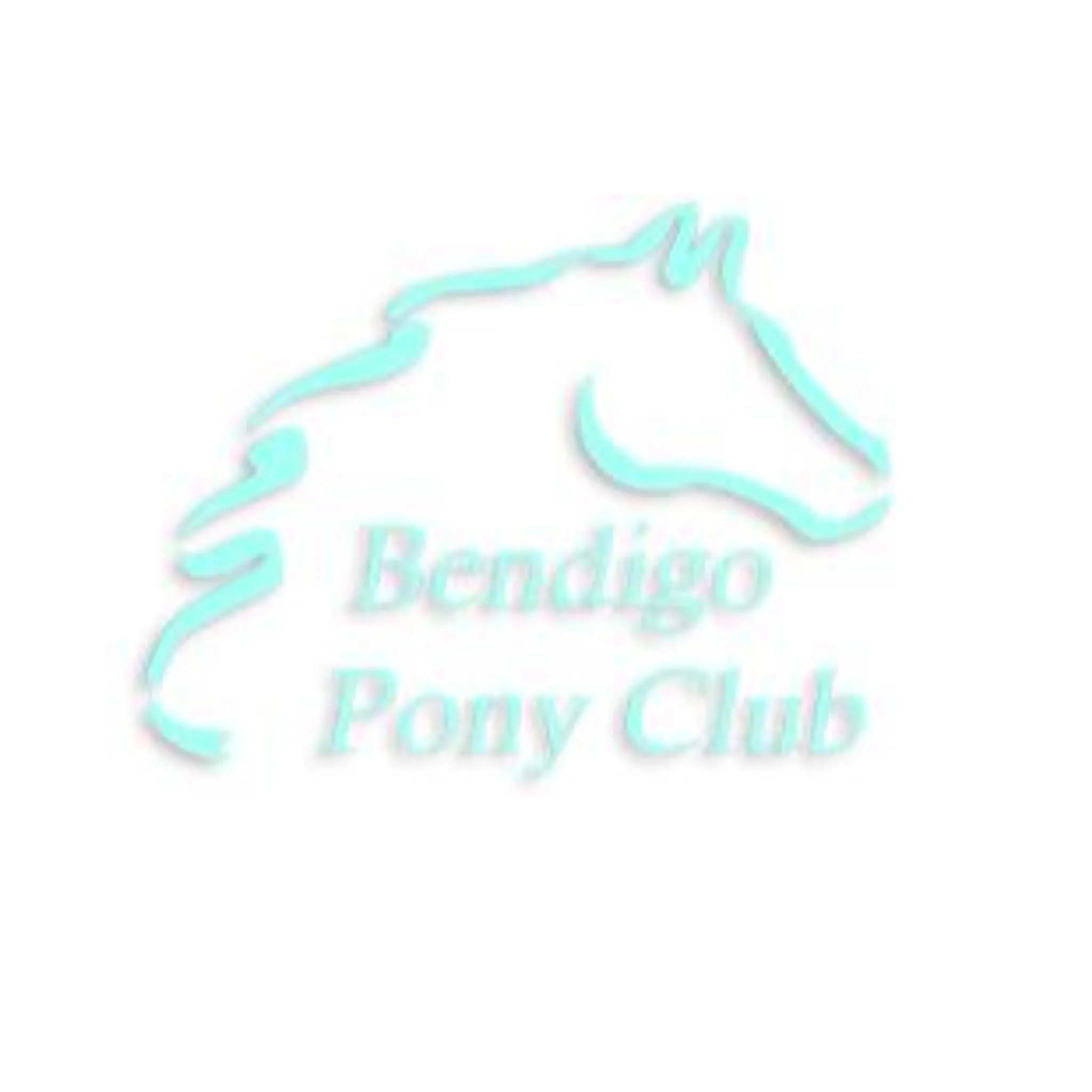 Bendigo Pony Club