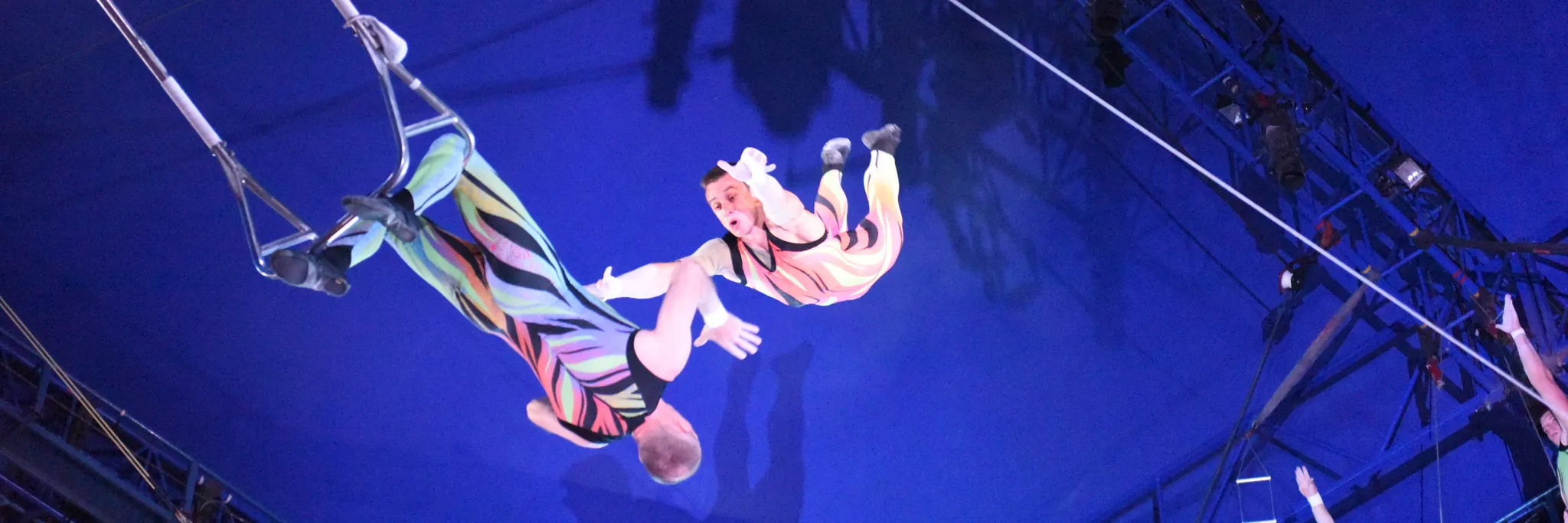 Flying Trapeze - All Levels