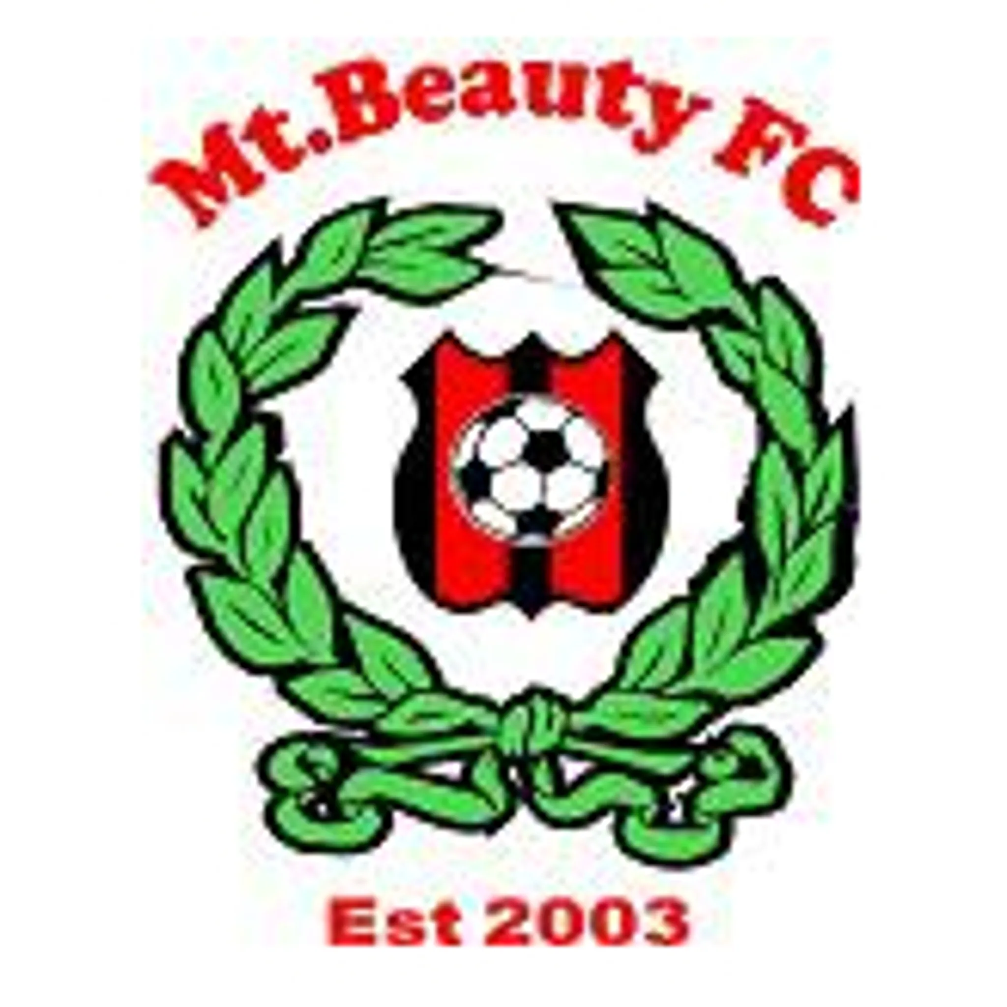 Mt Beauty Football Club