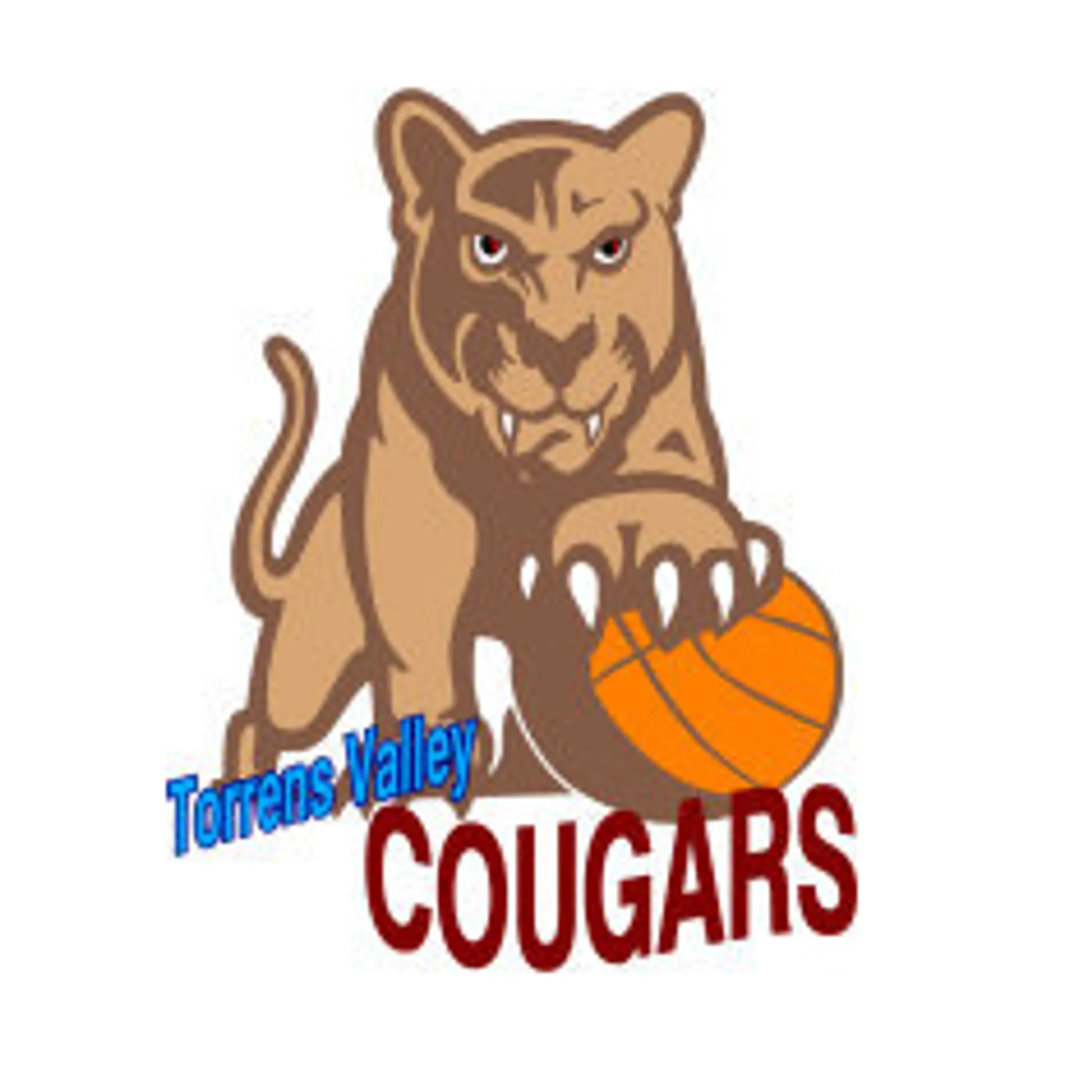 Torrens Valley Basketball Club