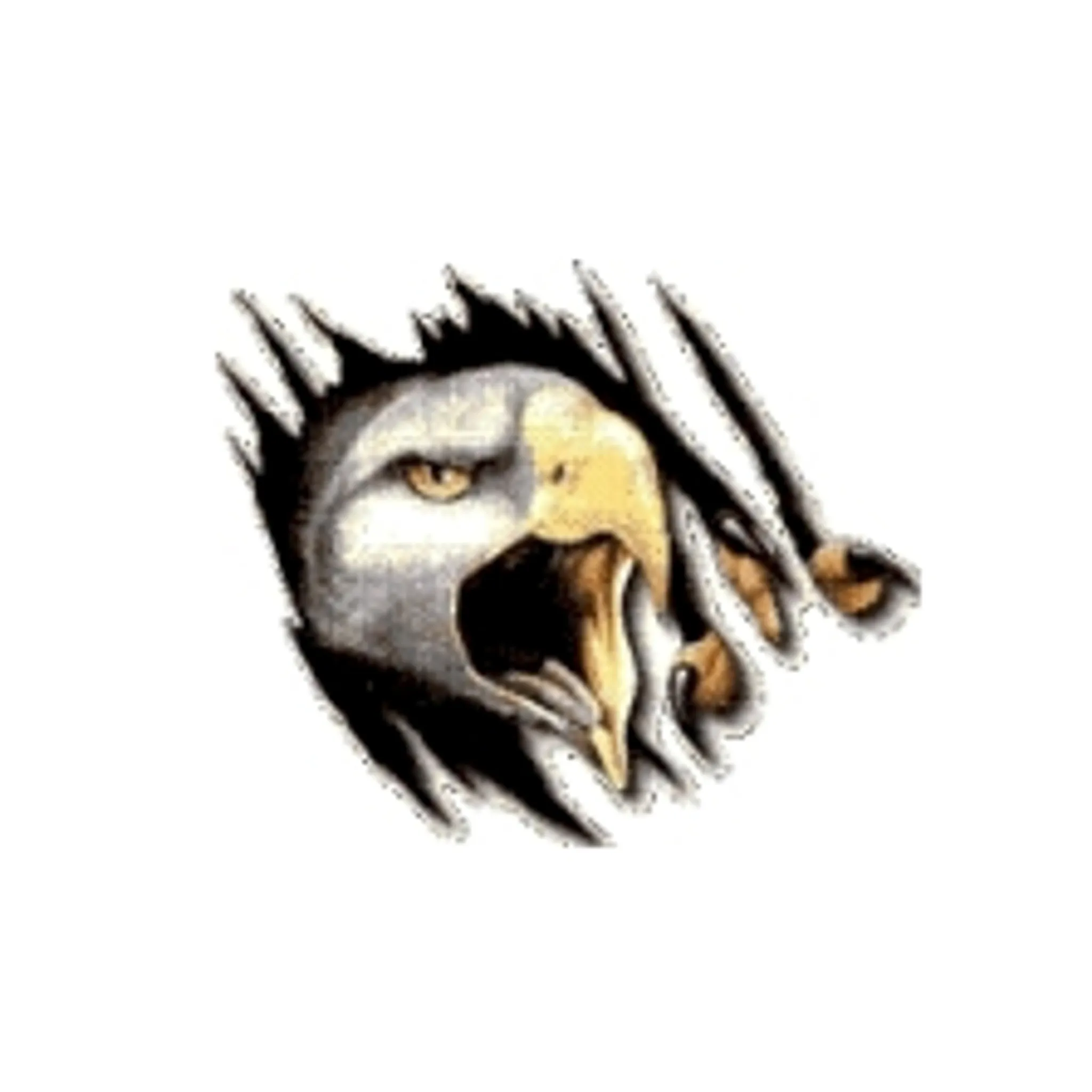 Windale Eagles Junior Rugby League Football Club