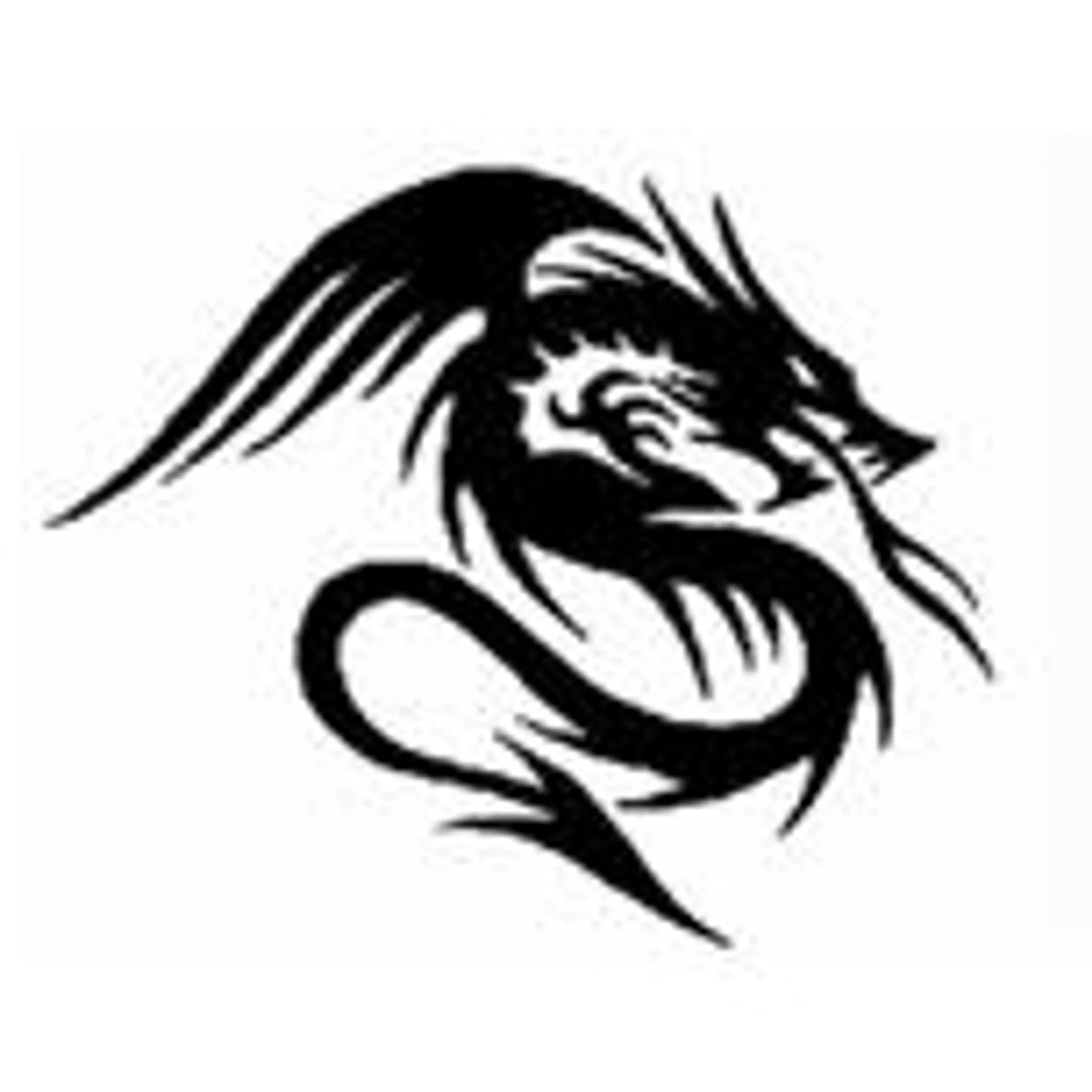 Dragon Kung Fu & Tai Chi School