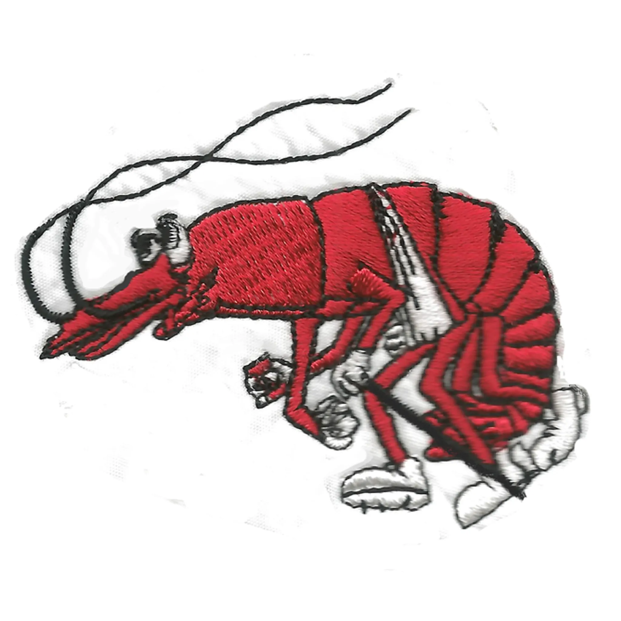 Ballina Hash House Harriers