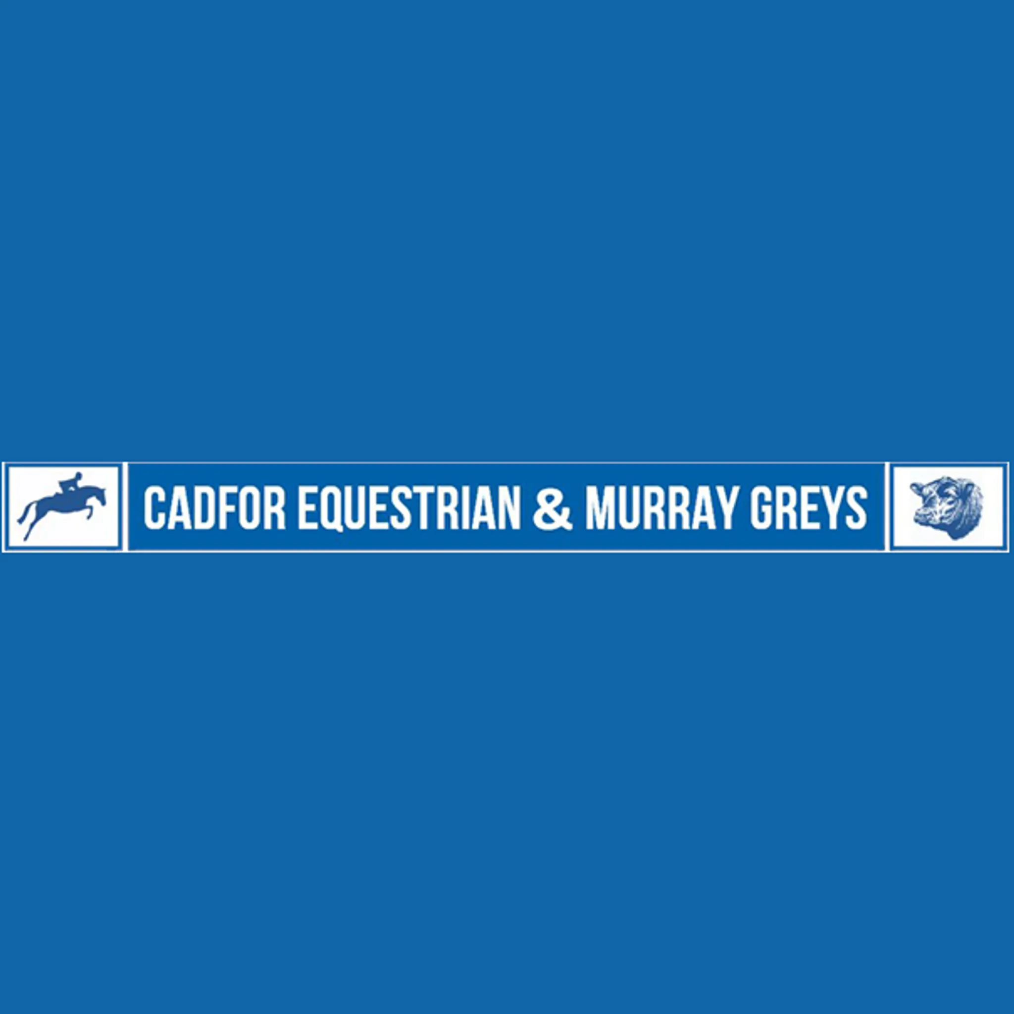 Cadfor Equestrian