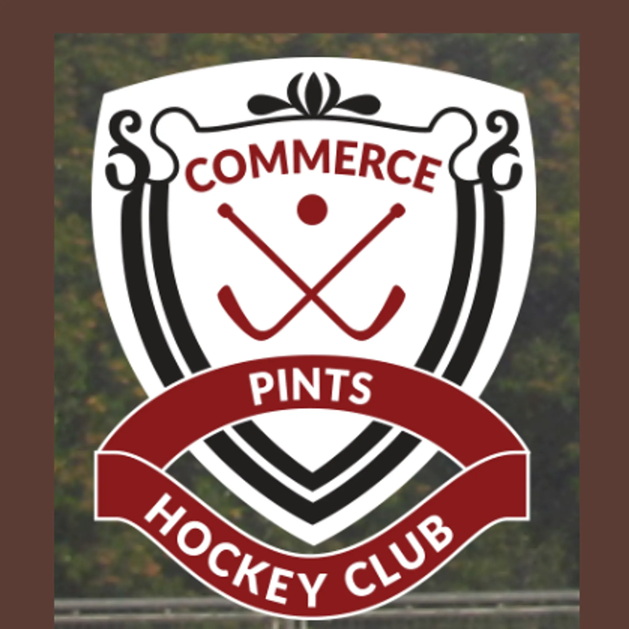 Commerce Pints Hockey Club
