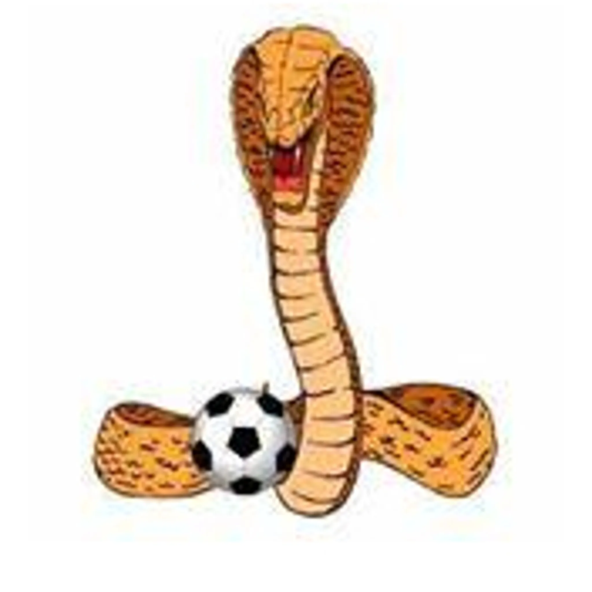 Russell Vale Junior Football Club