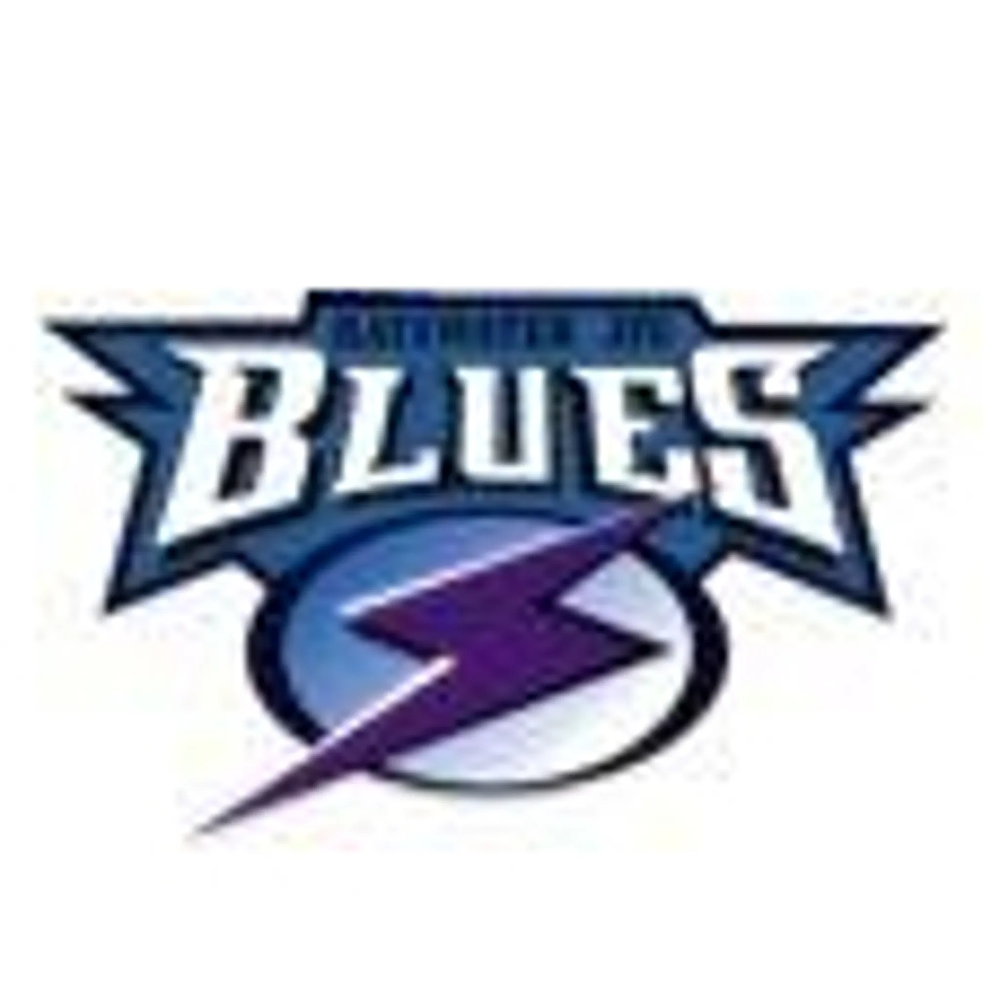 Bayswater Blues Primary School Football Club