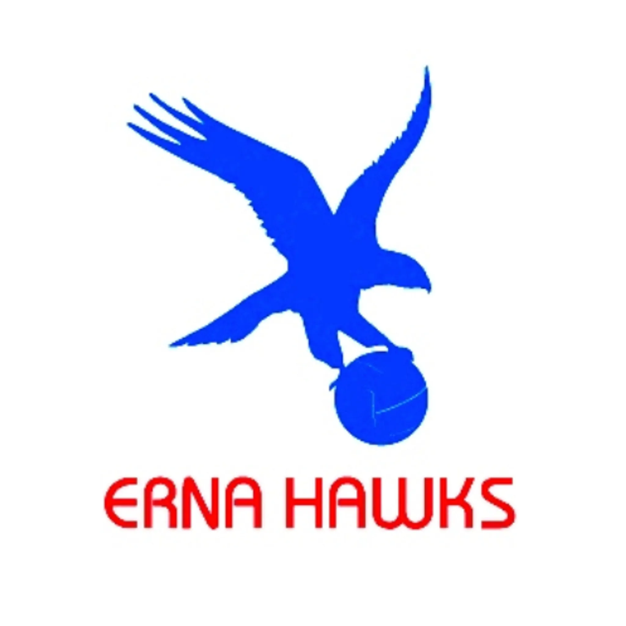 ERNA Hawks Netball Club