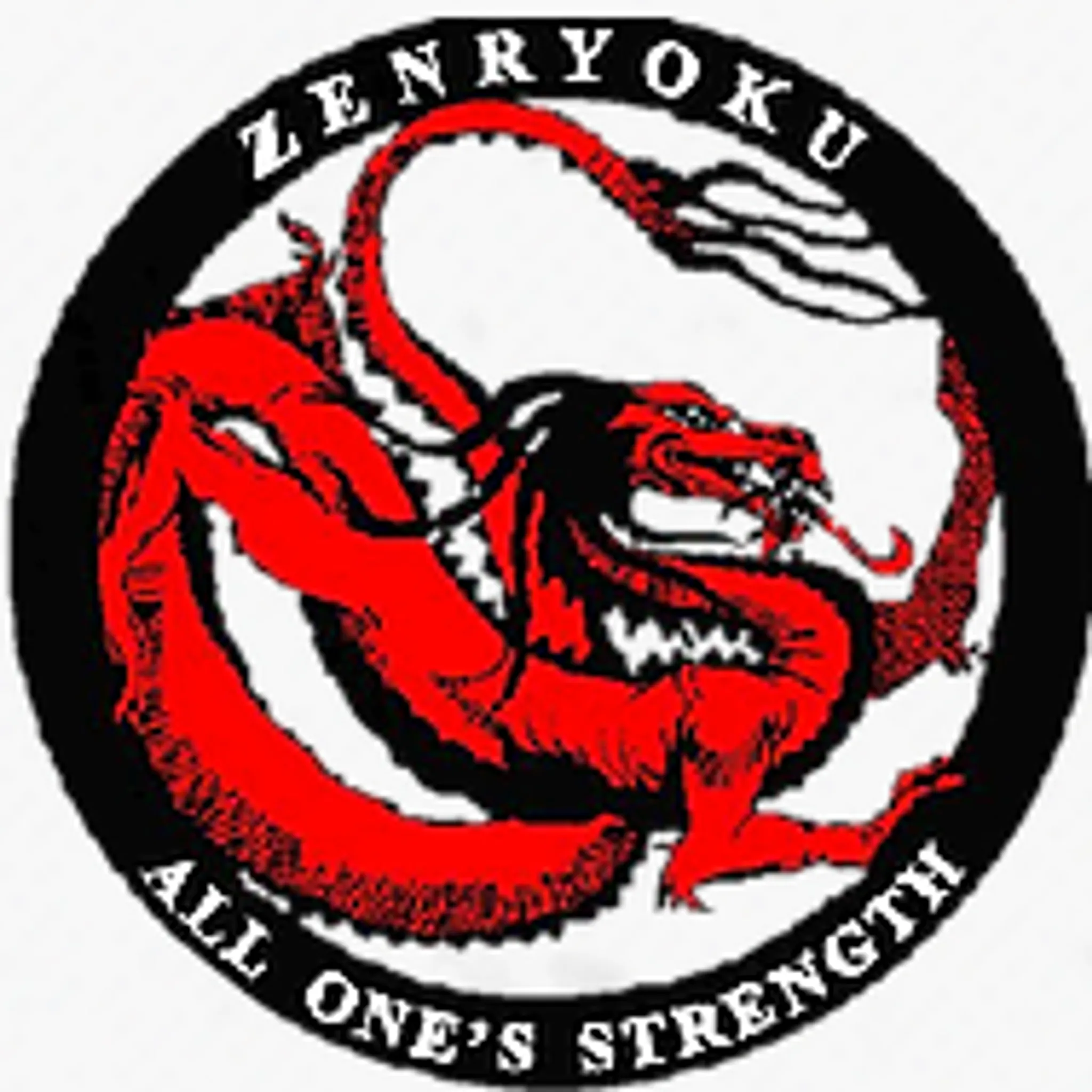 Zenryoku Martial Arts