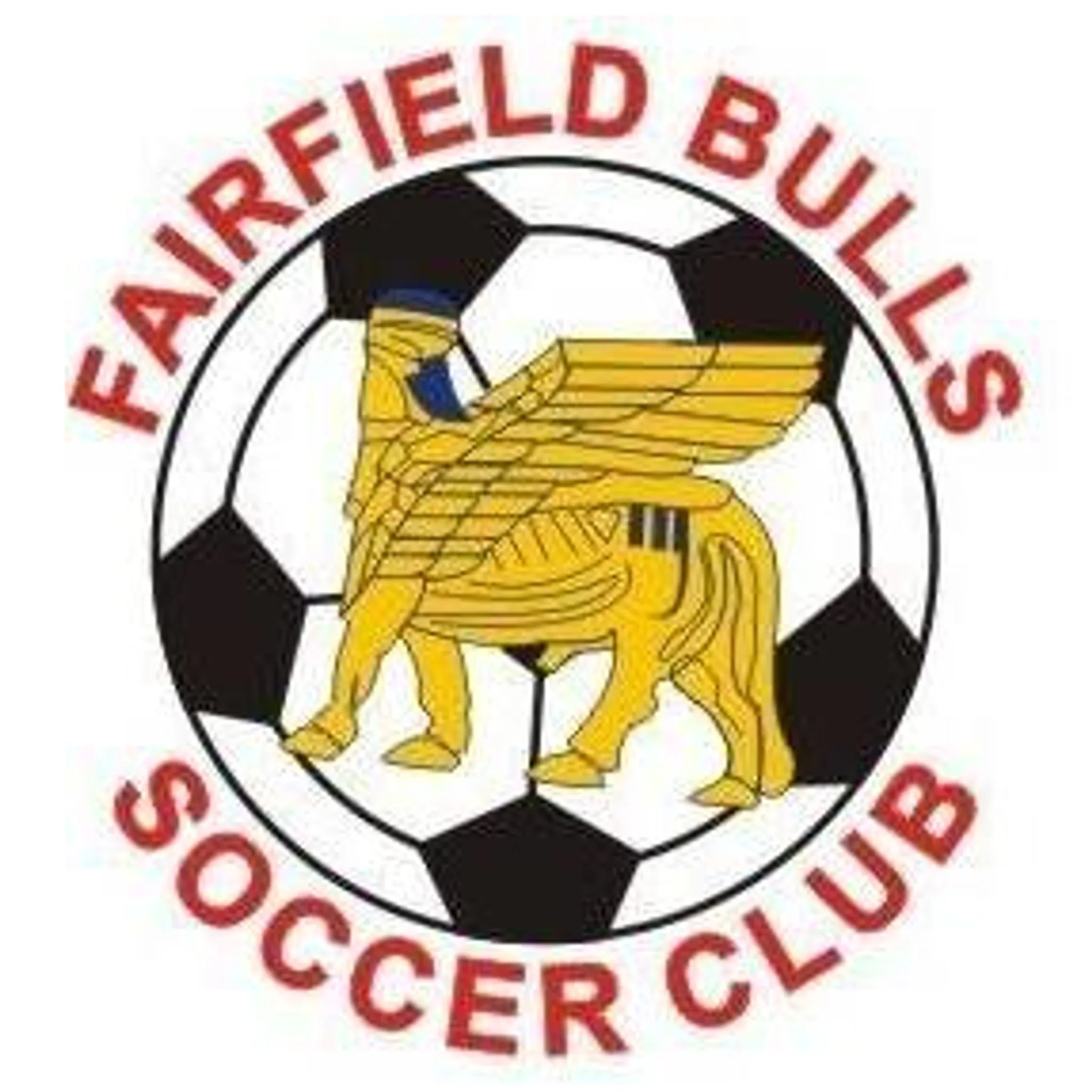 Fairfield Bulls Soccer Club Inc