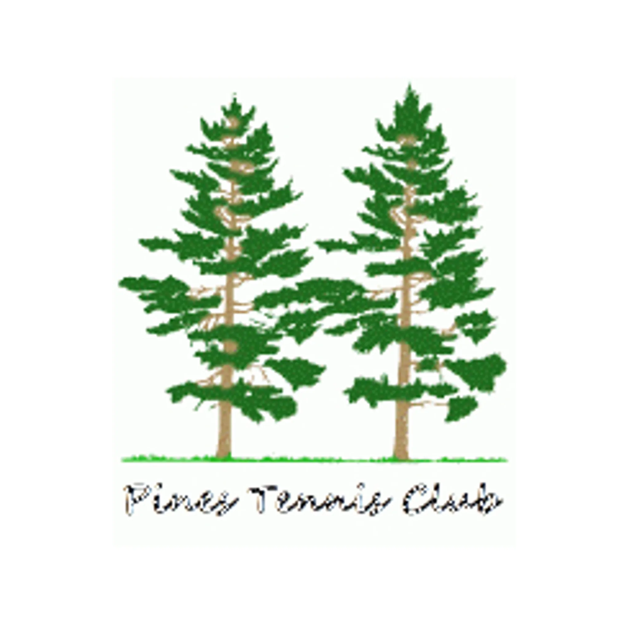 The Pines Tennis Club