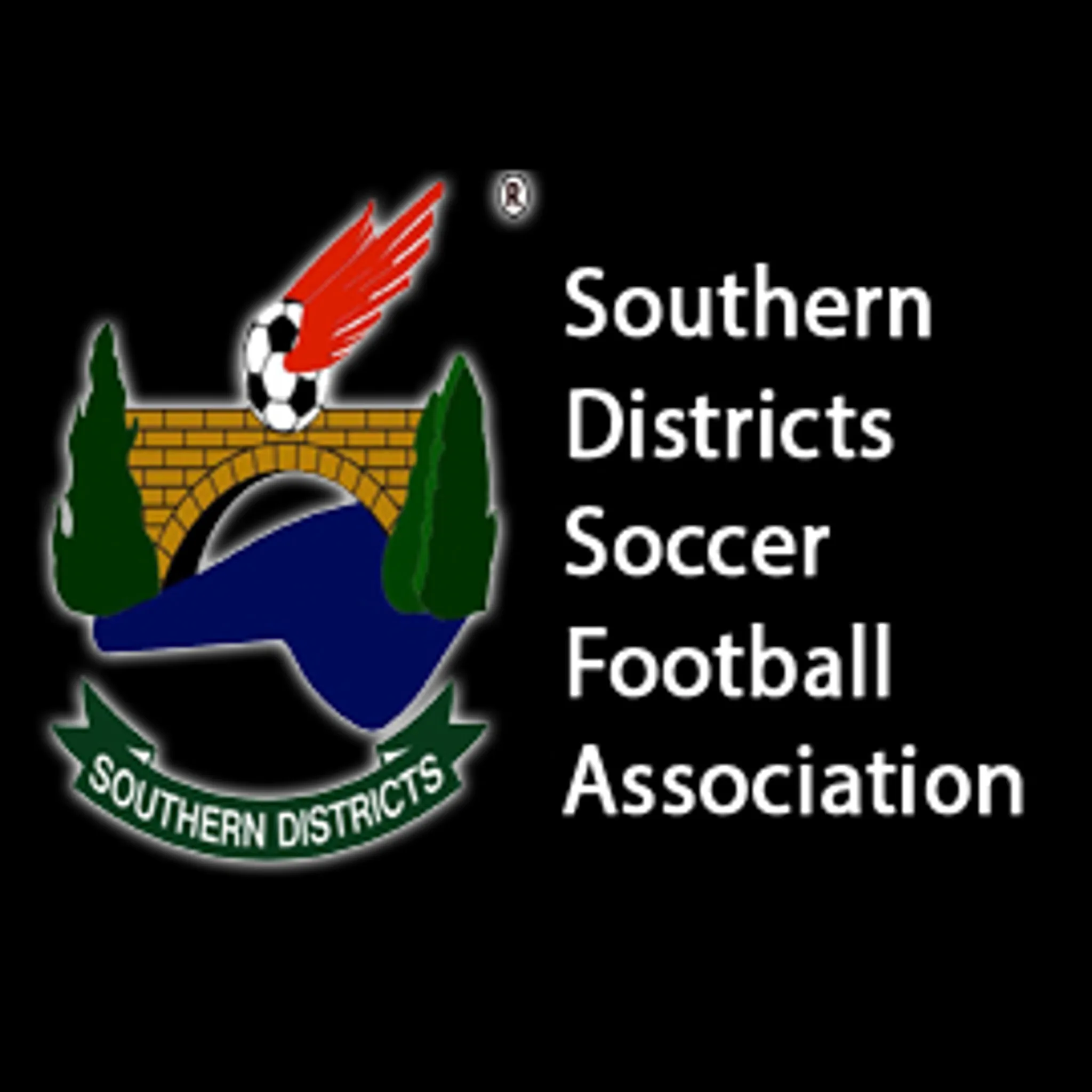 Southern Districts Football Association