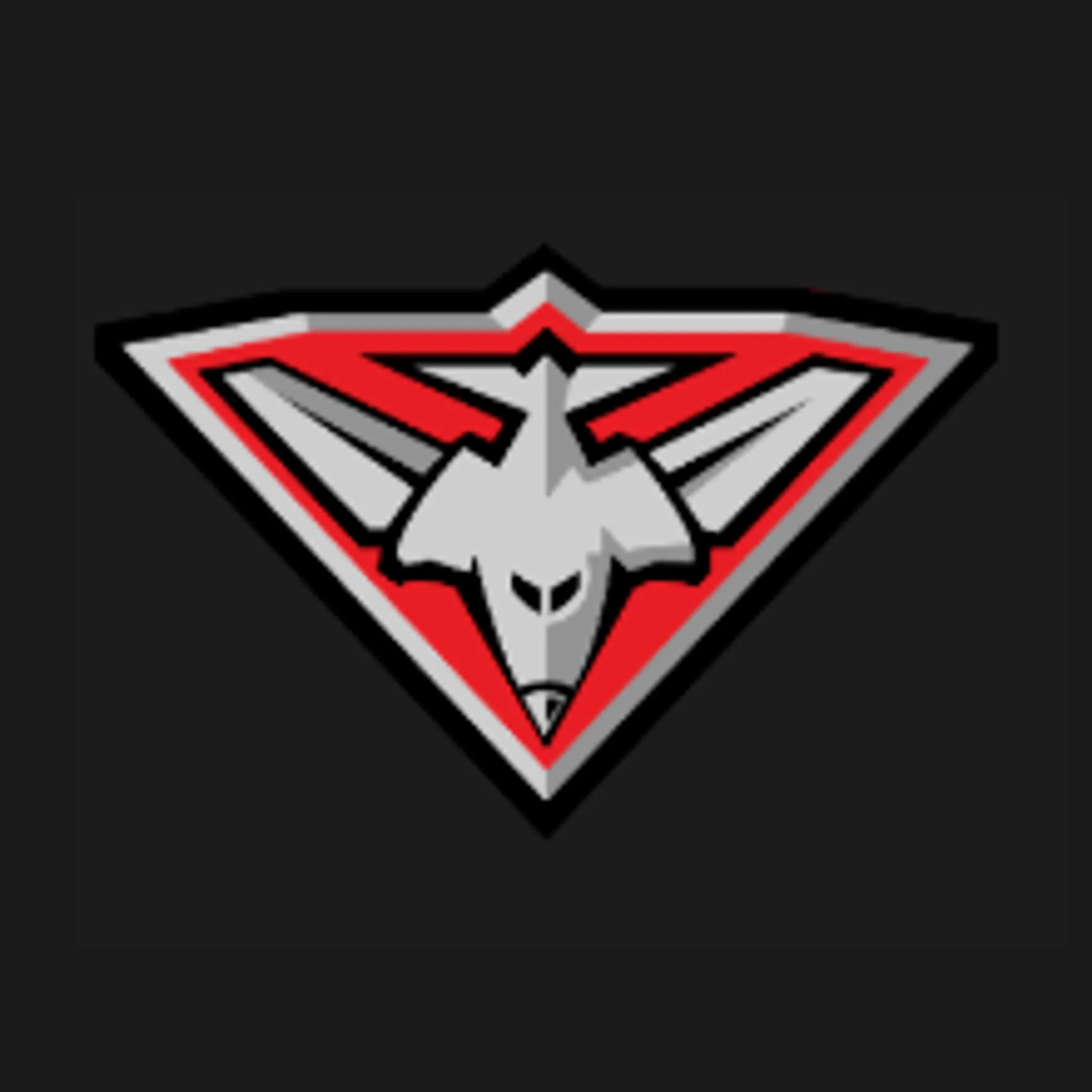 Essendon Superules Football Club