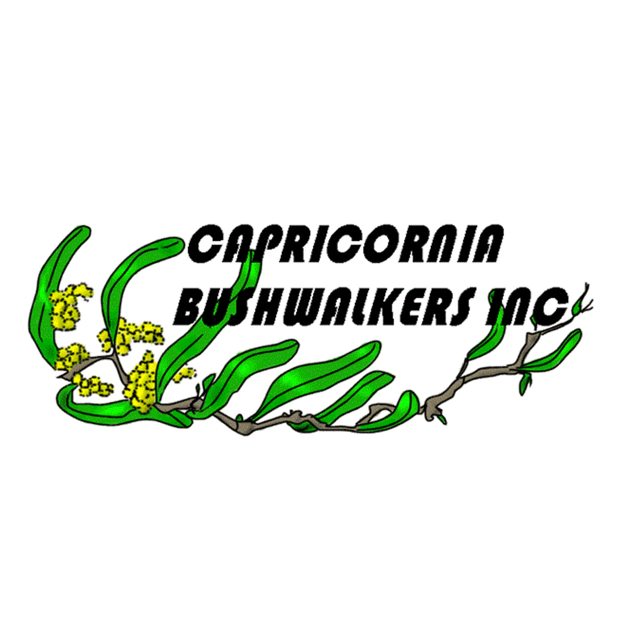 Capricornia Bushwalkers