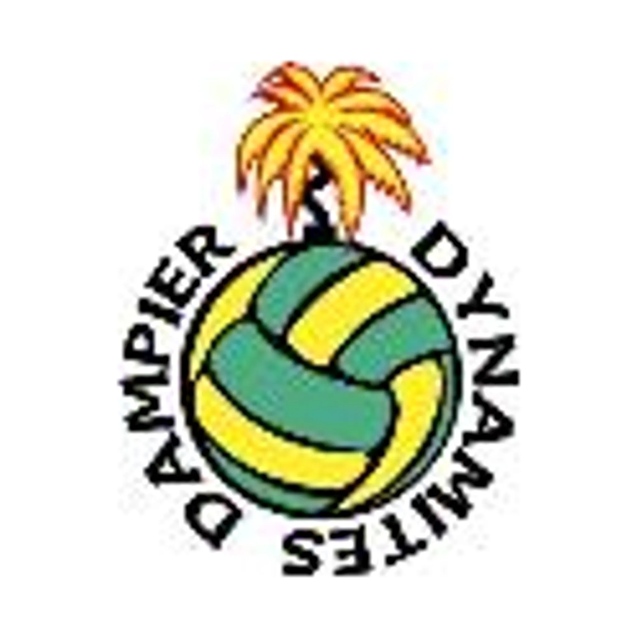 Dampier Junior Netball Club