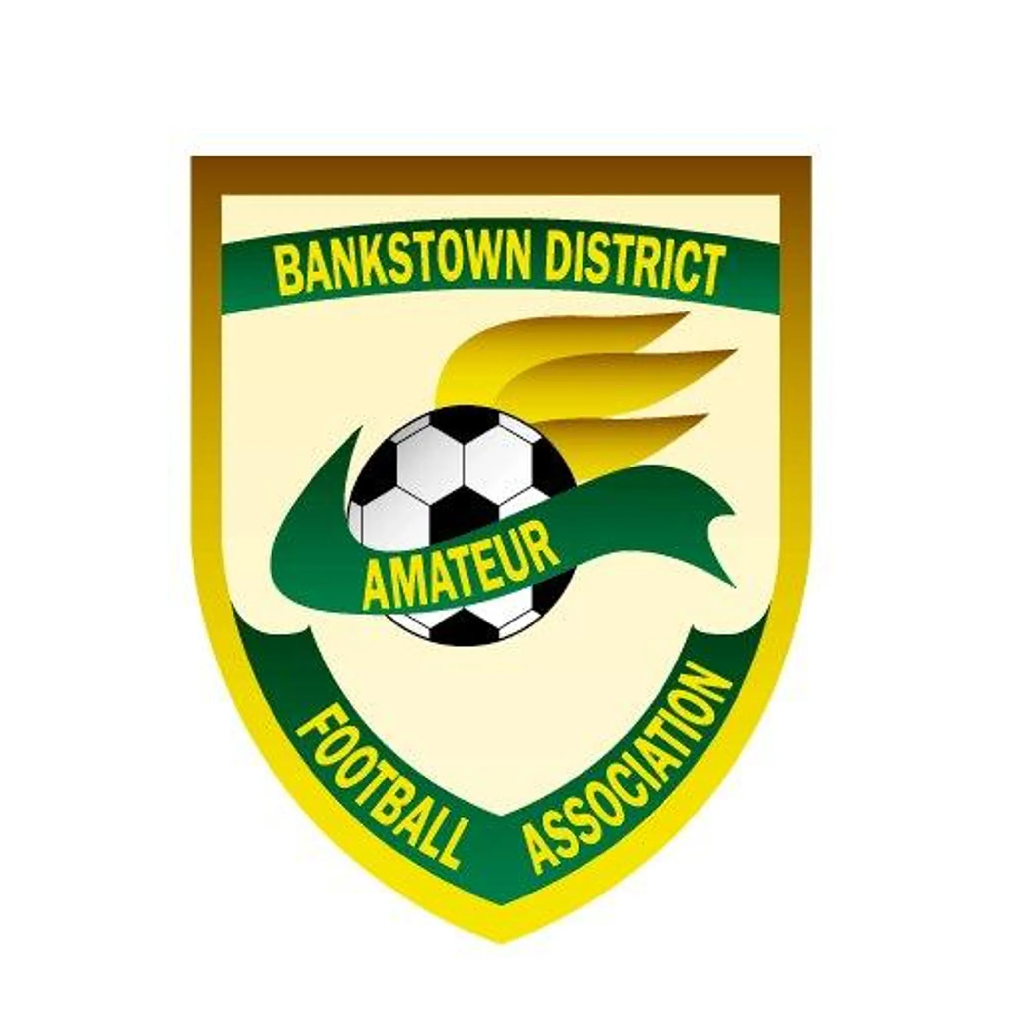  Bankstown District Football Association