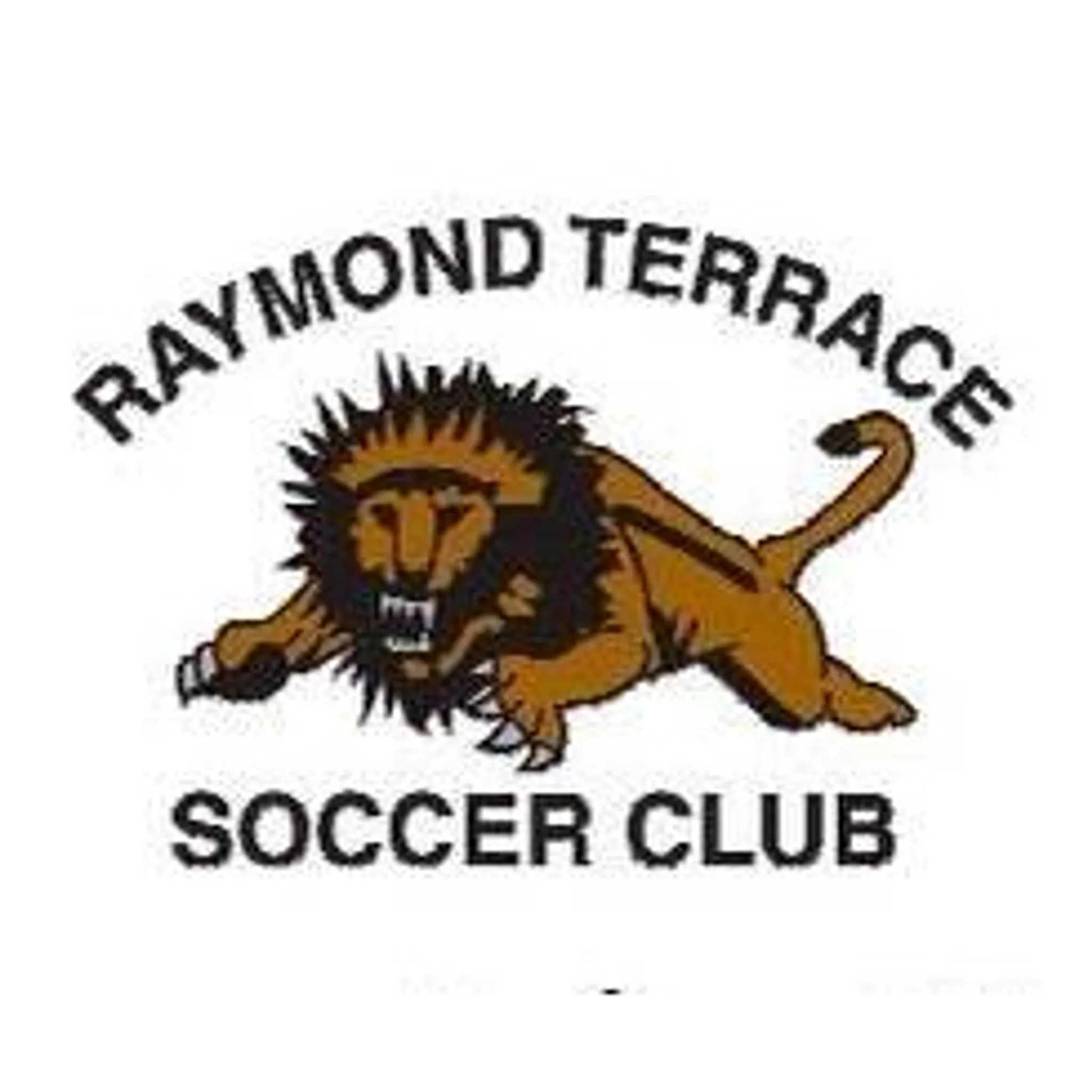 Raymond Terrace Soccer Club