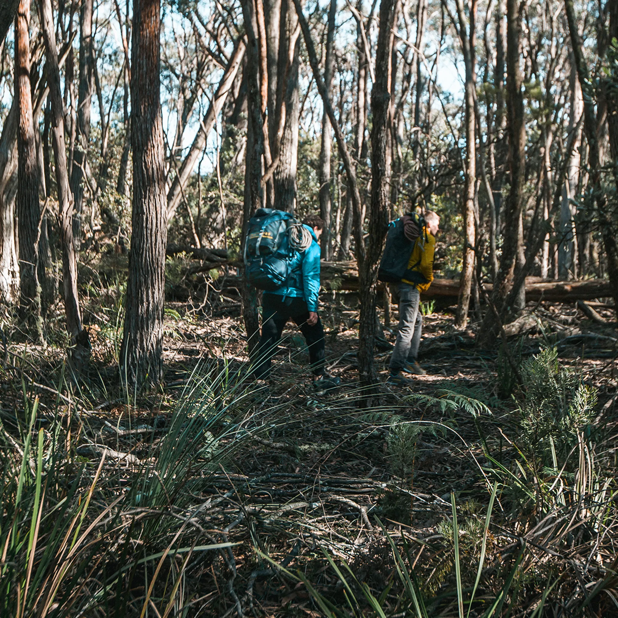Bushwalking