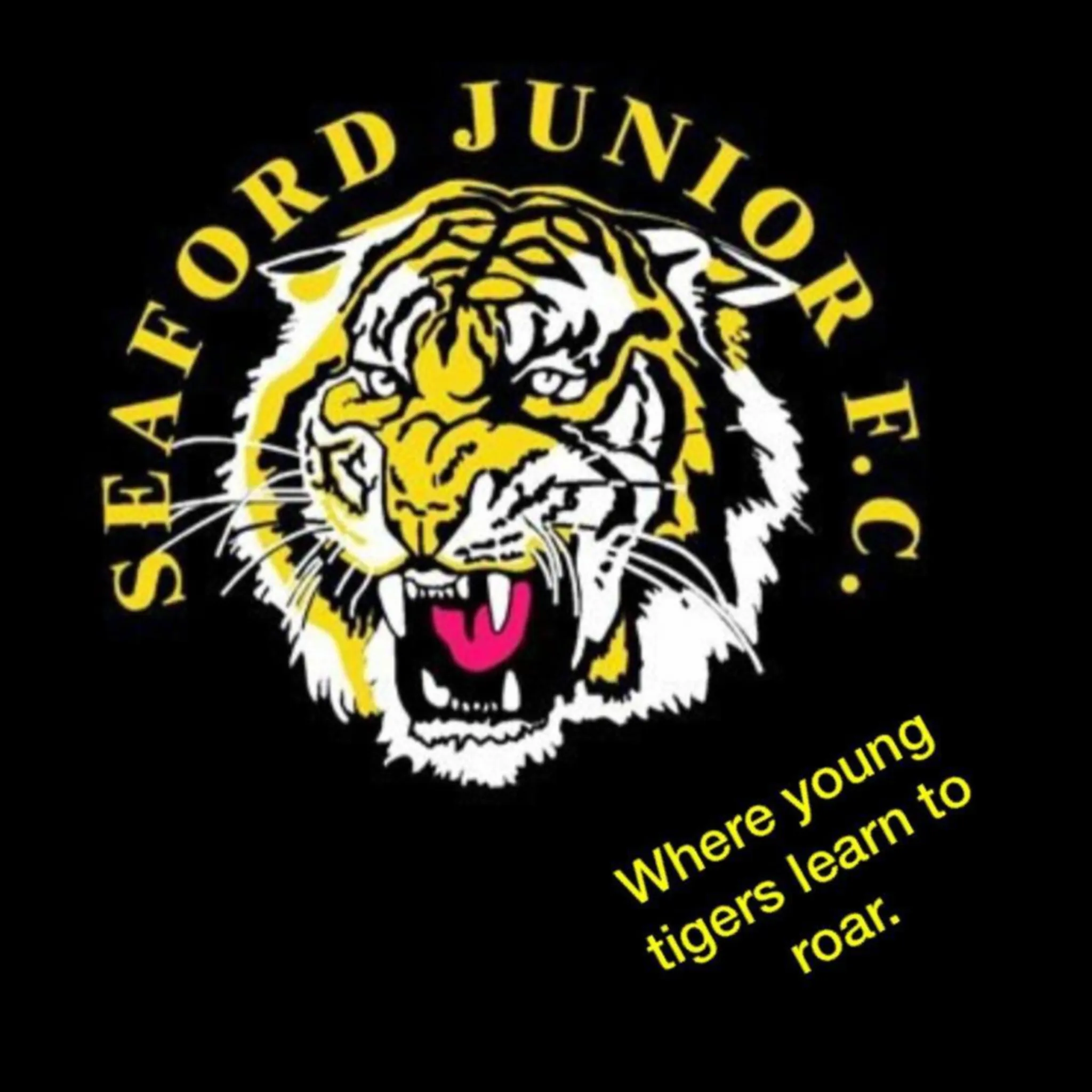 Seaford Football Netball Club