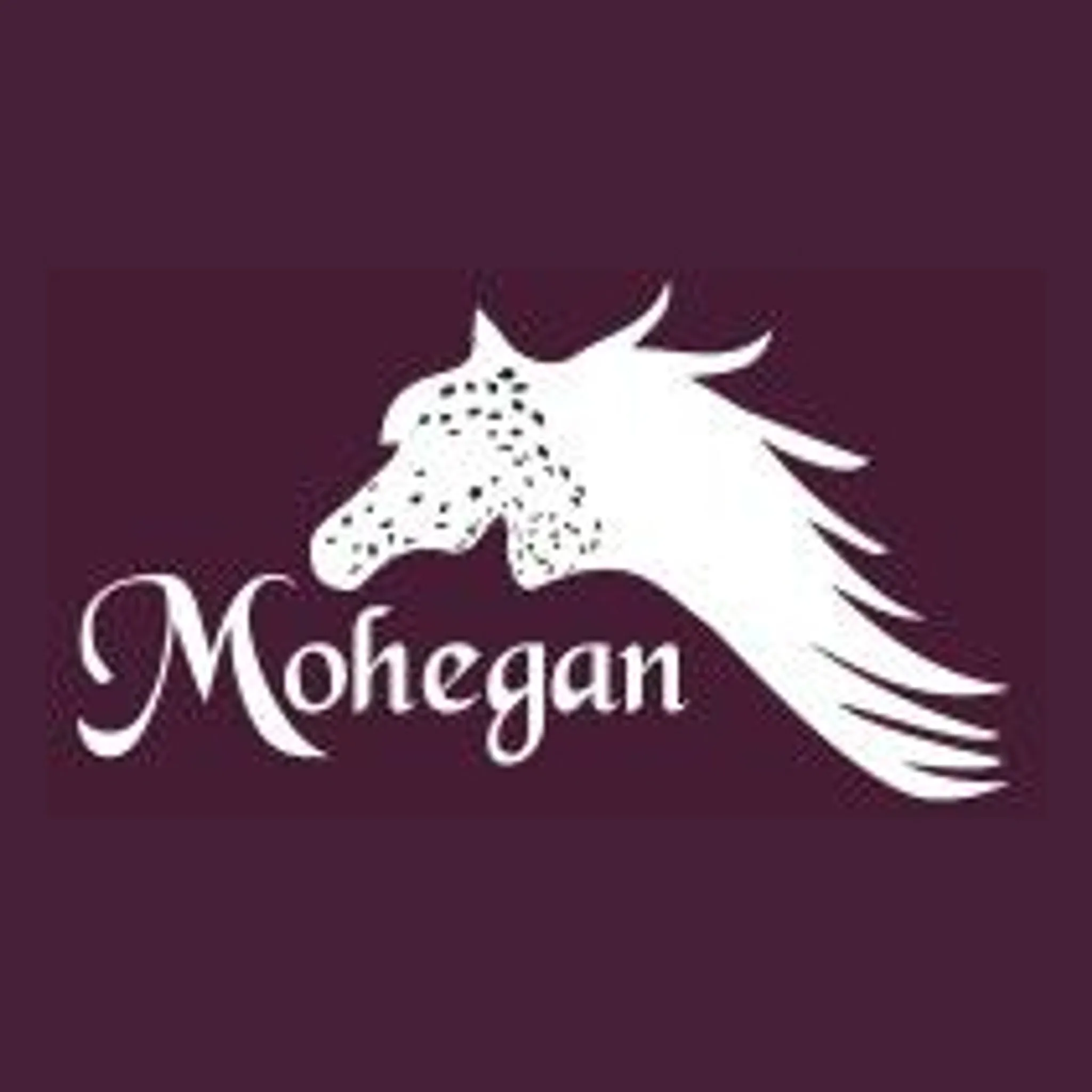 Mohegan Equestrian & Healing Centre