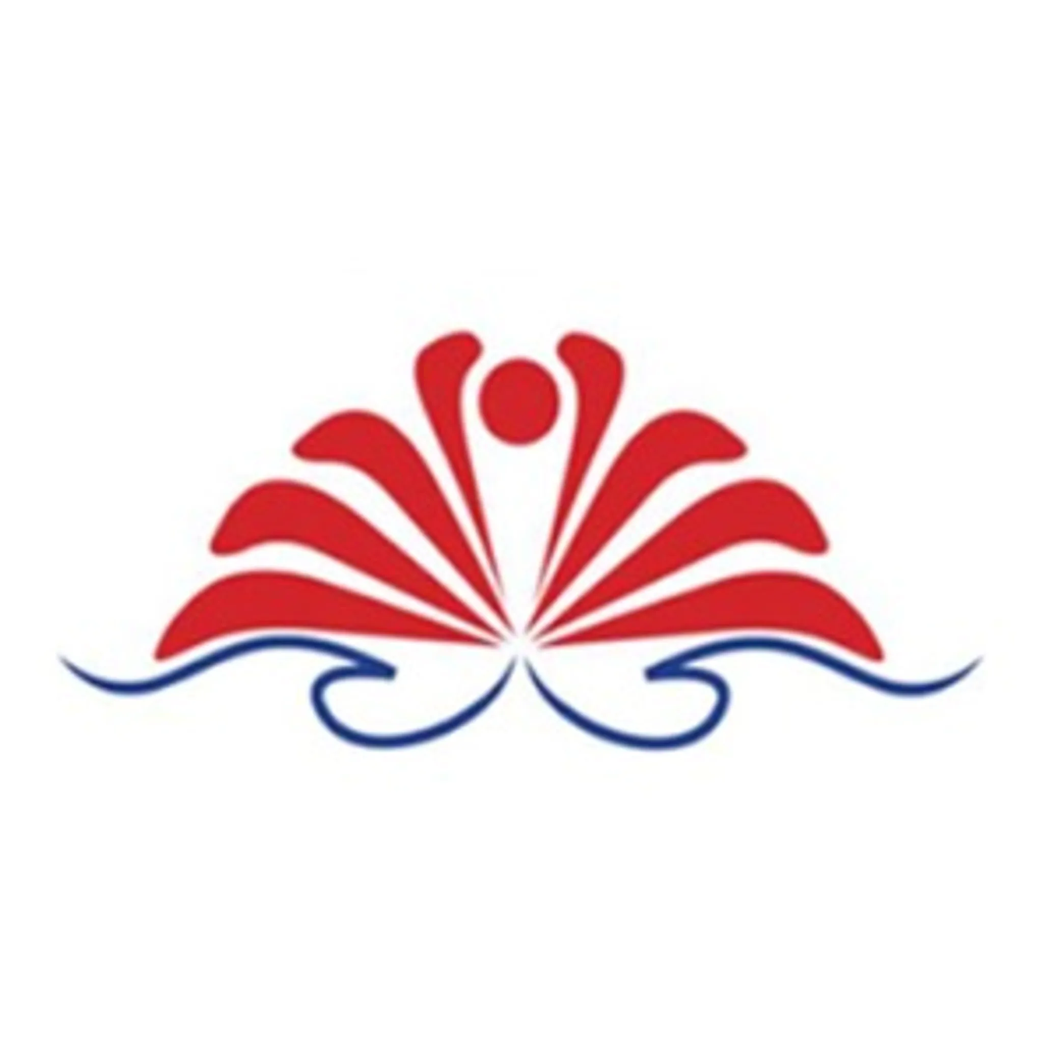 NSW Underwater Hockey Commission