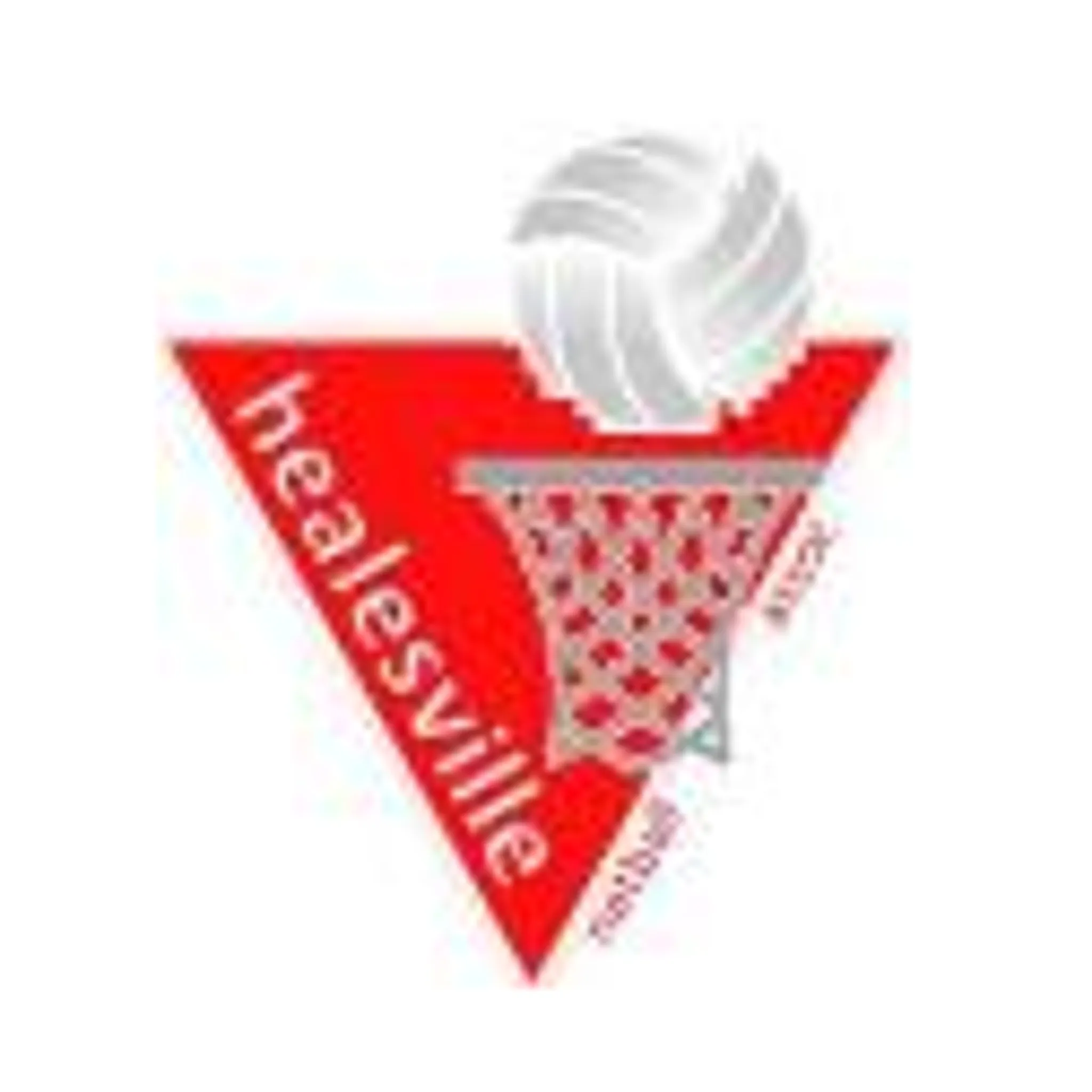 Healesville Netball Association