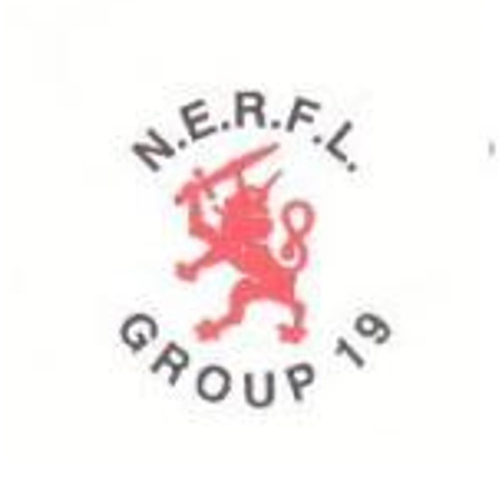 Group 19 Rugby League NSW