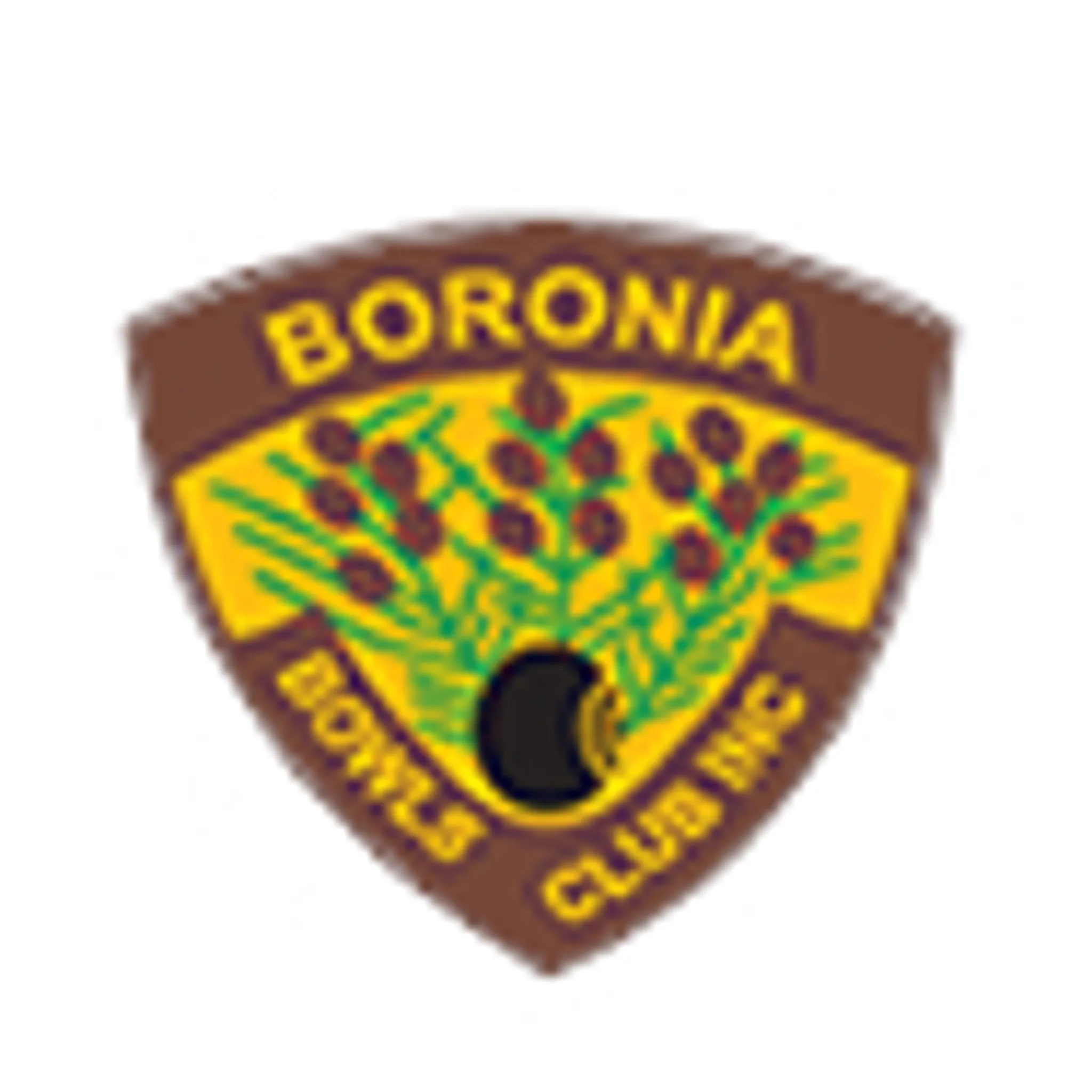 Boronia Bowls Club Inc.