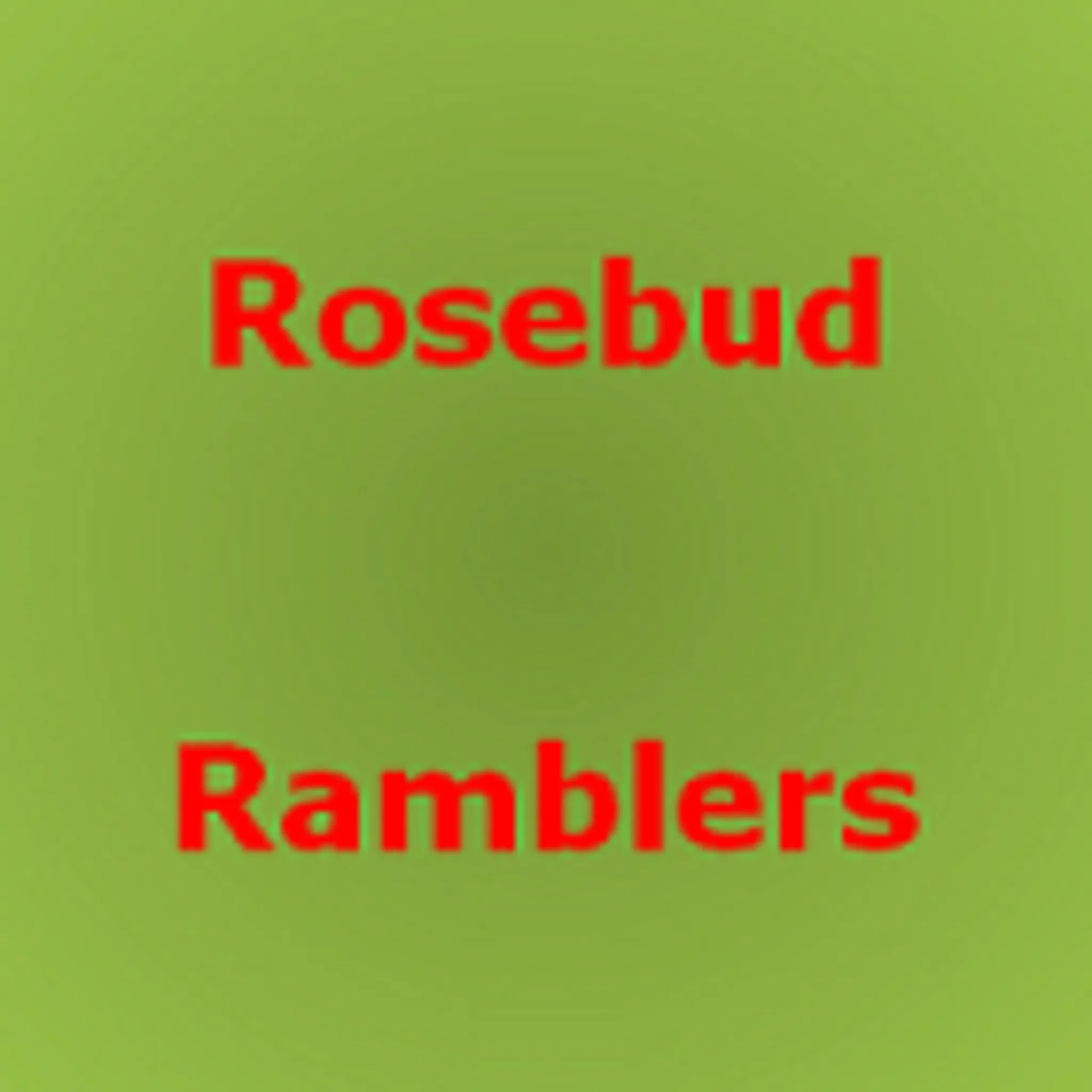 Rosebud Ramblers