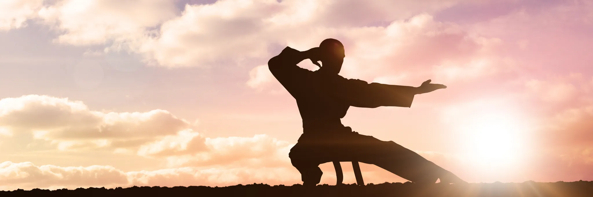 Kyokushin International Karate Organisation (KIKO)