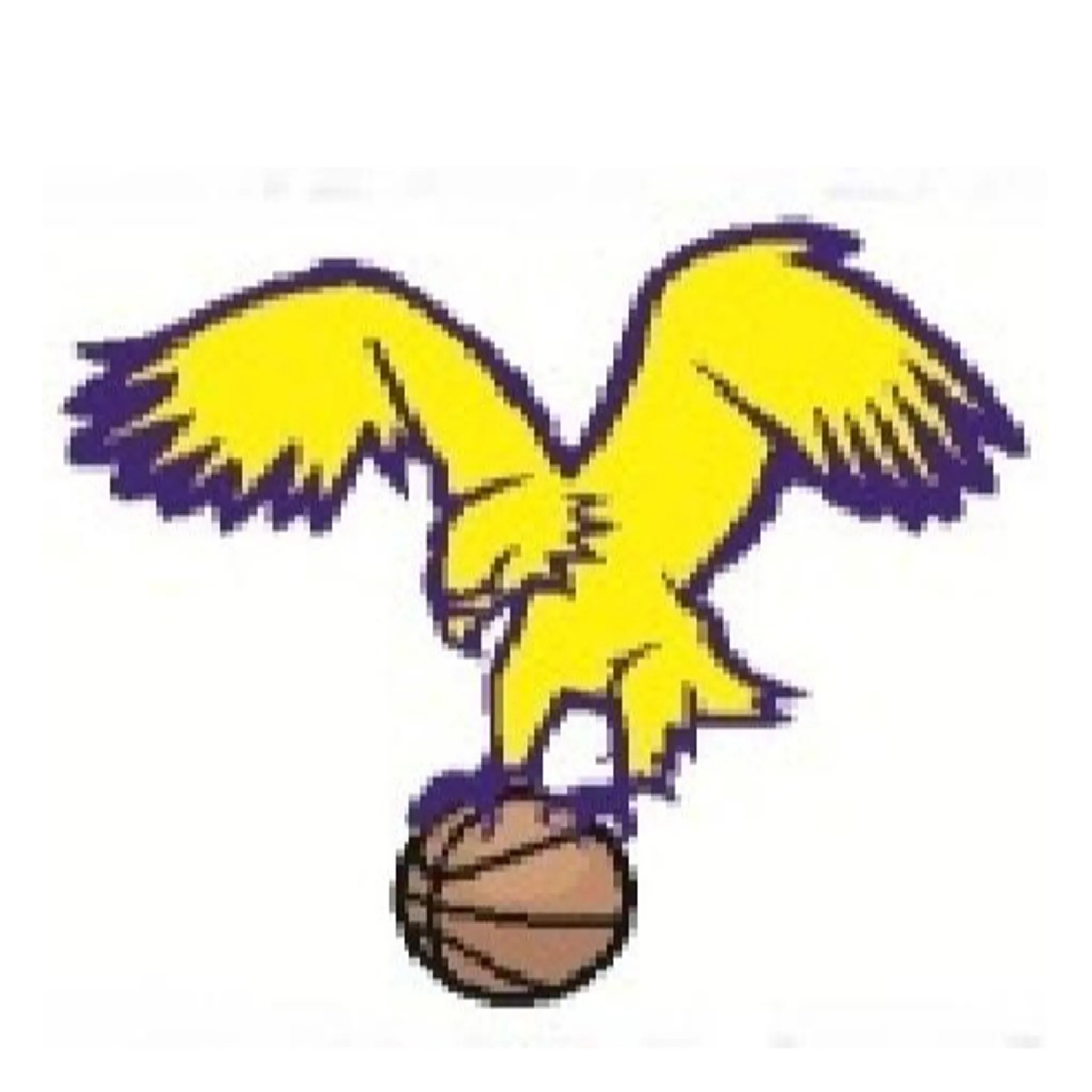 Mansfield & District Basketball Association Inc.