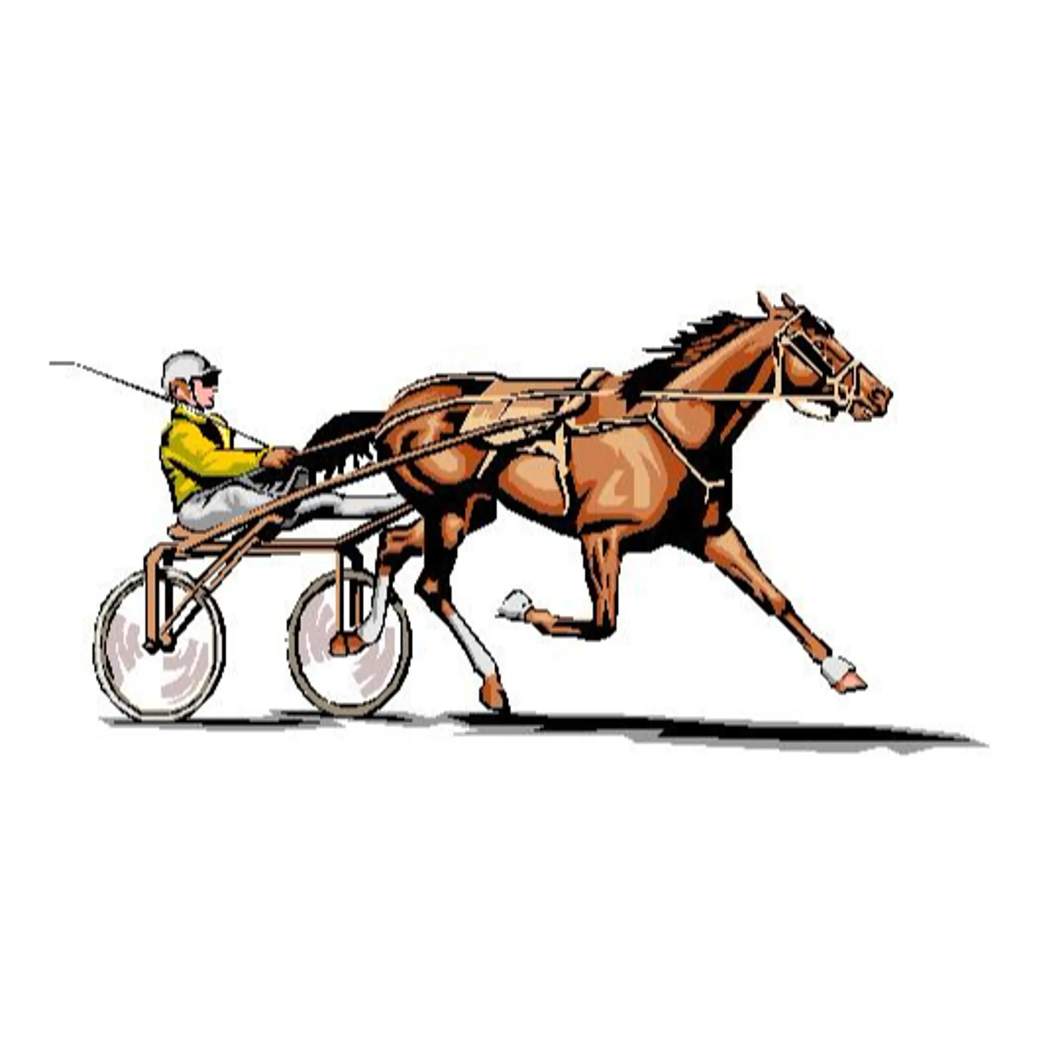 Kapunda Trotting Club / Harness Racing Club