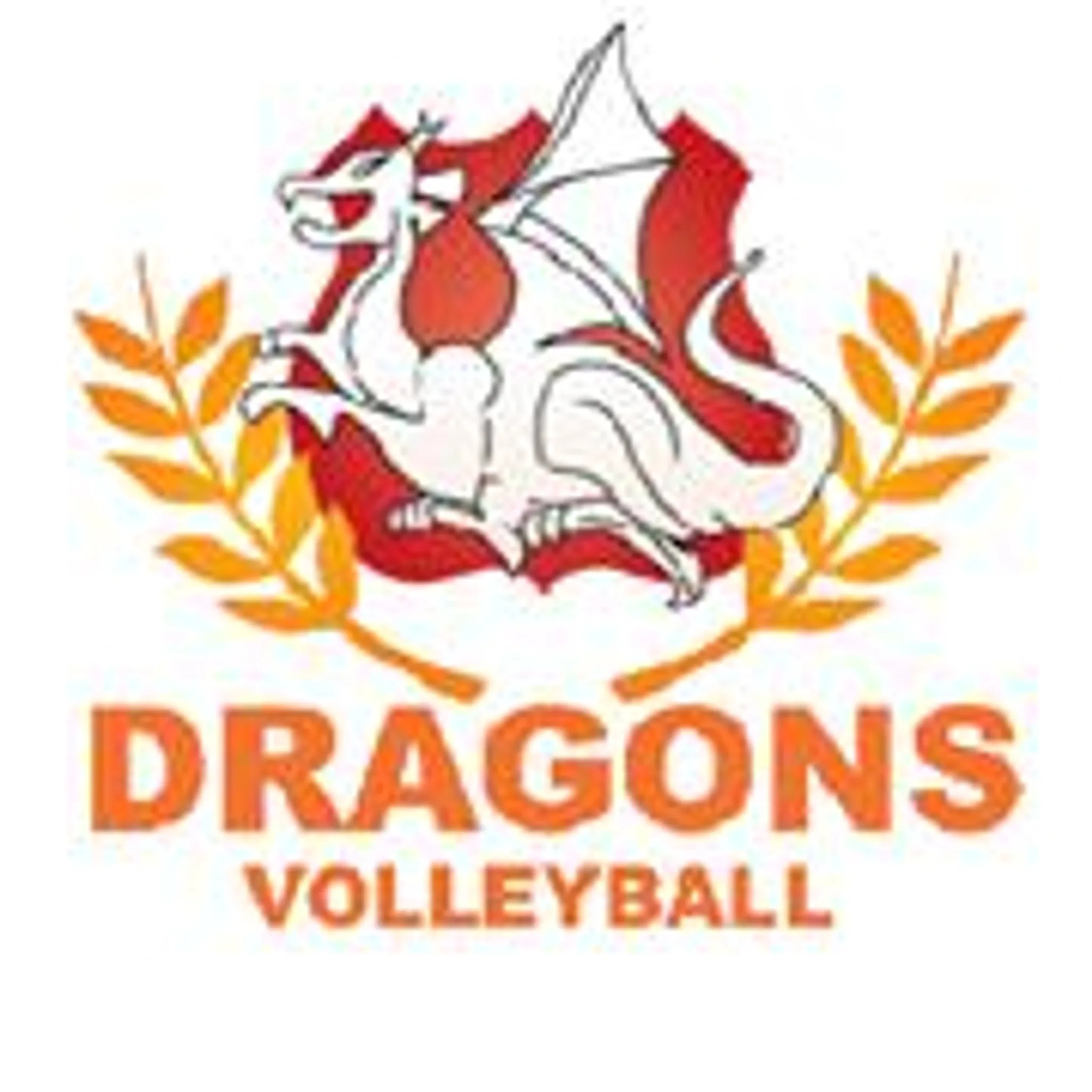 Dragons Volleyball Association