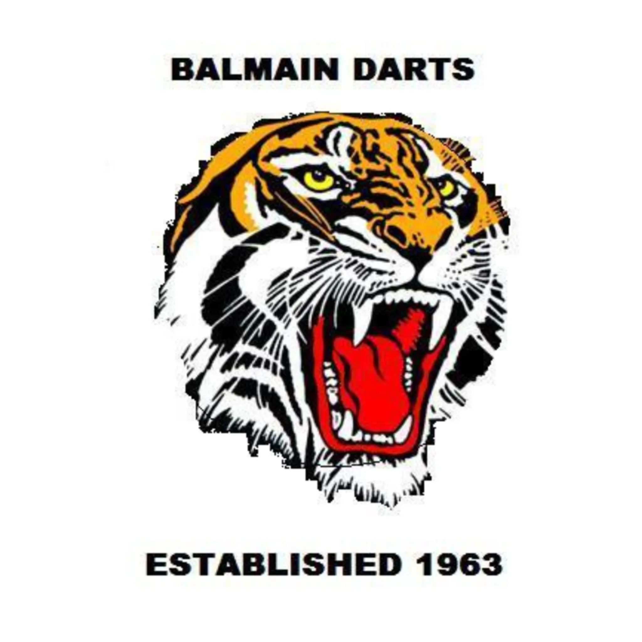 Balmain & Districts Amateur Darts Association