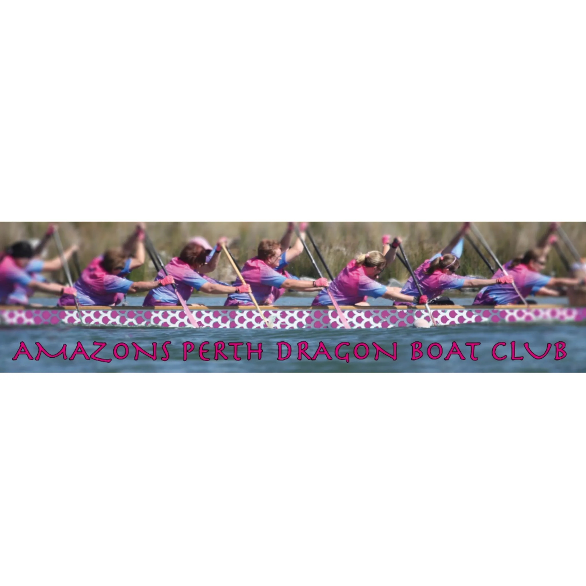 Amazons Perth Dragon Boat Club
