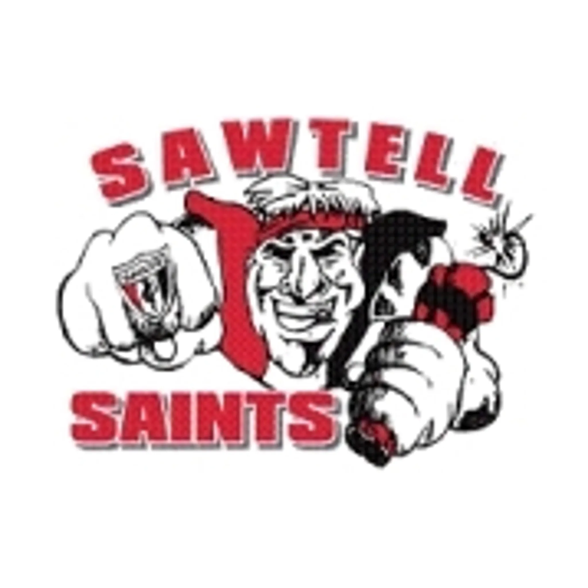 Sawtell Toormina Saints AFL Club
