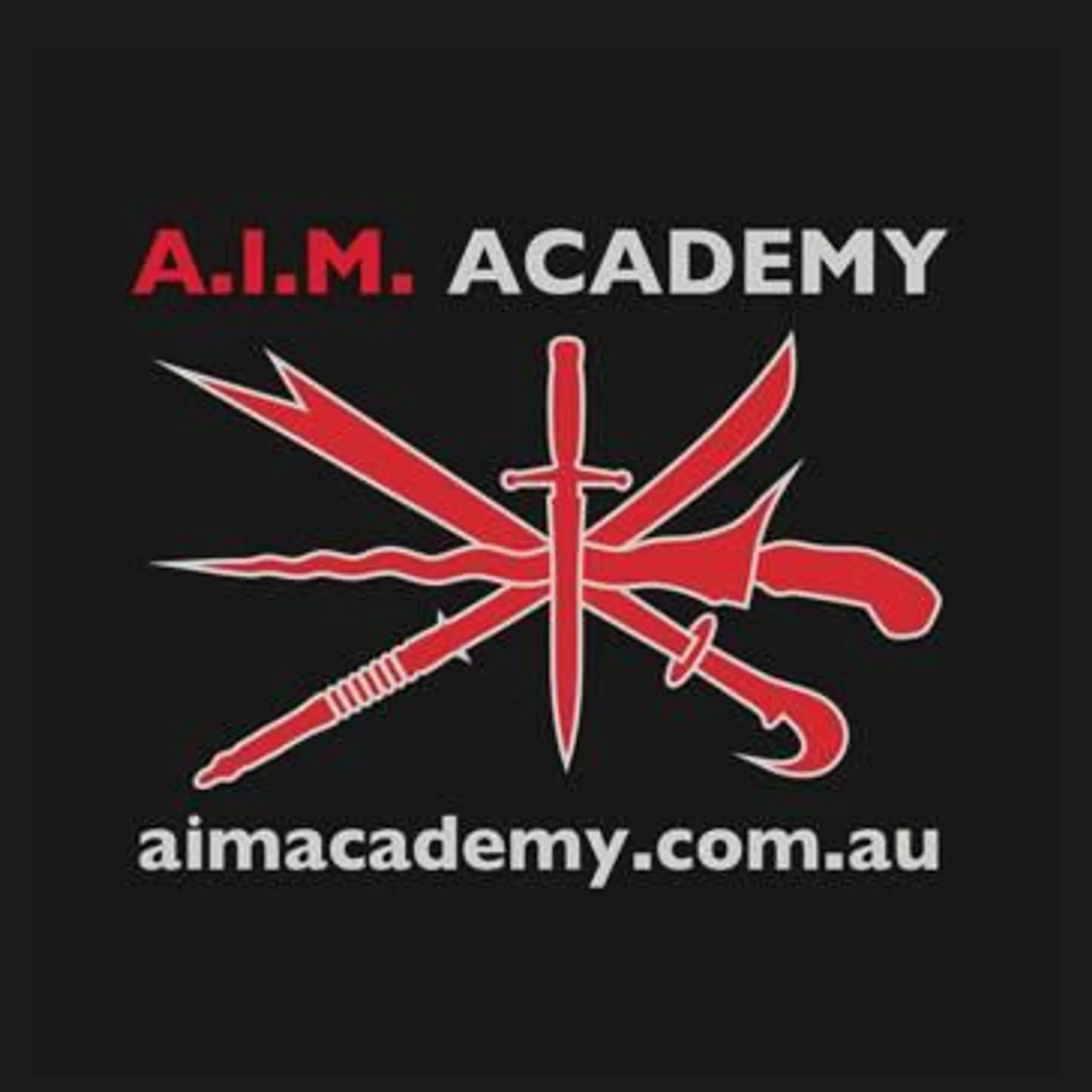 Australian Integrated Martial (AIM) Arts Academy