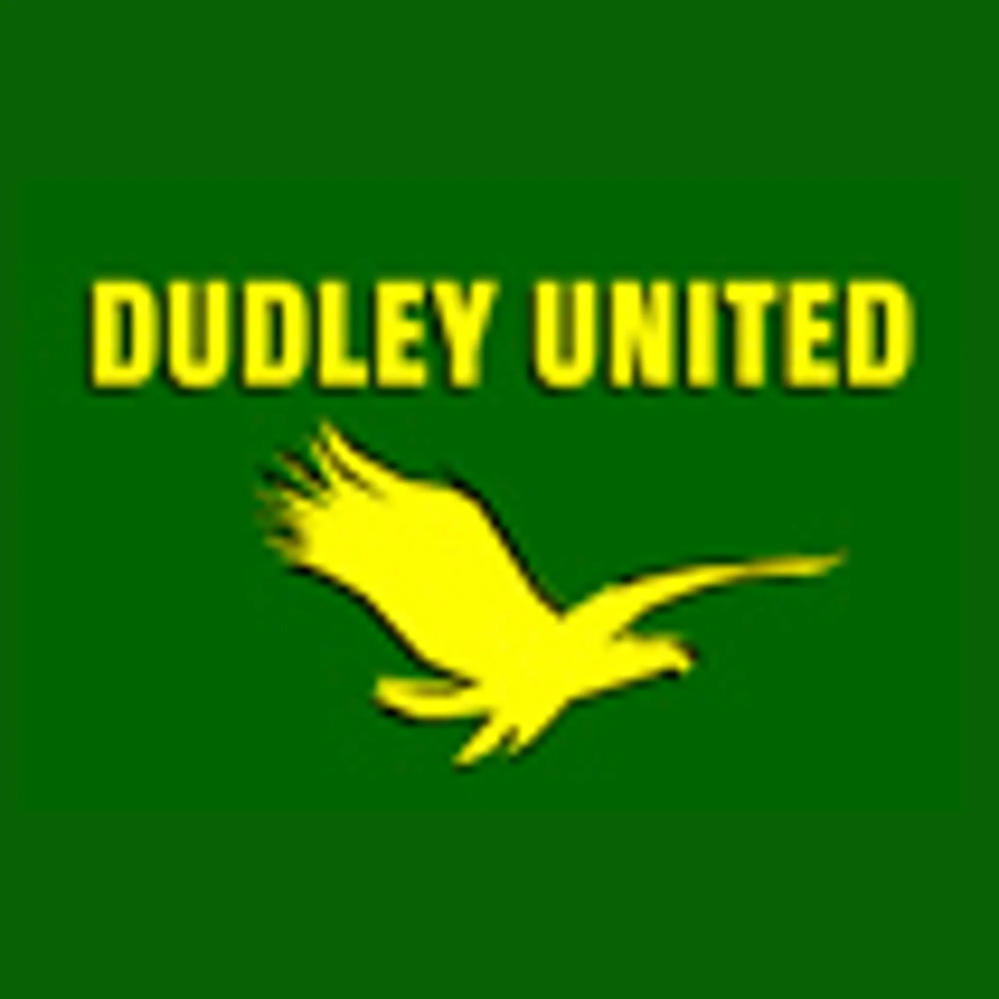 Dudley United Netball Club
