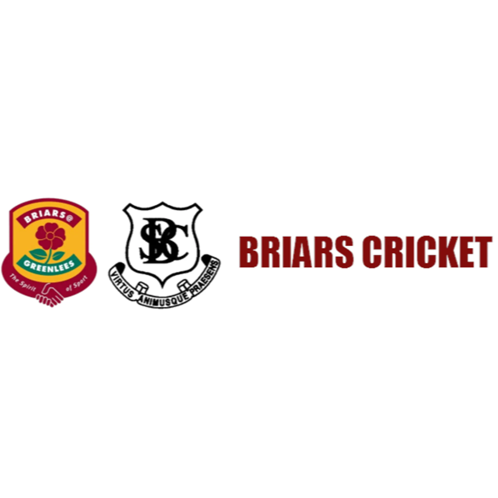 Burwood Briars Cricket Club