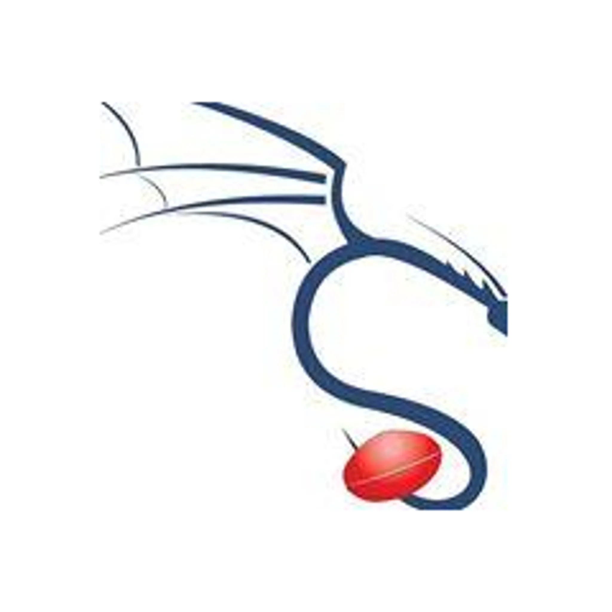 Southern Dragons Football Club