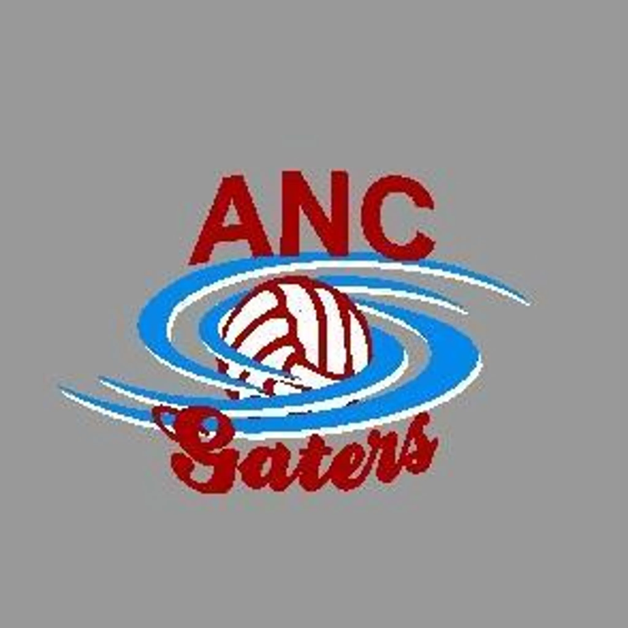 Aldgate Netball Club