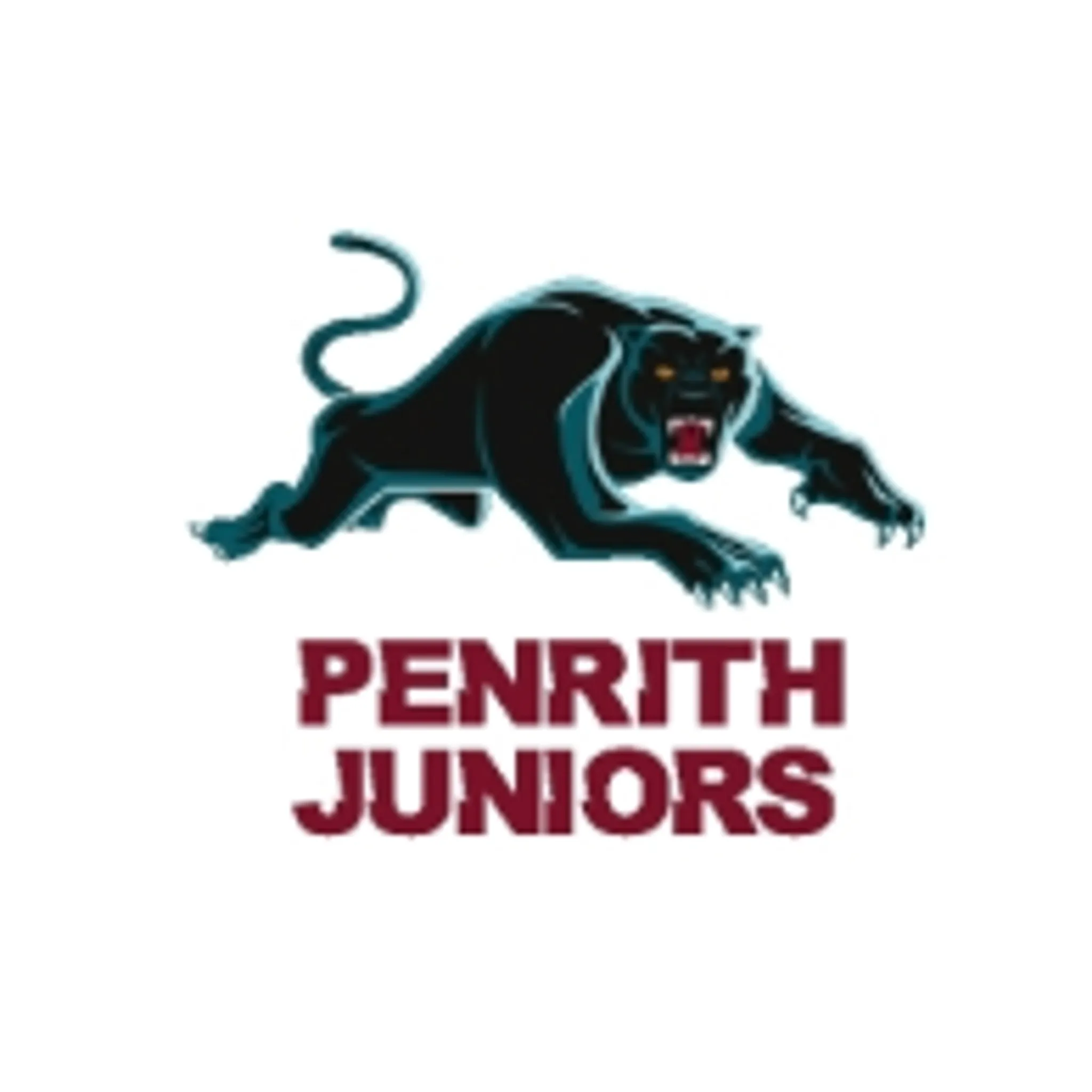 Penrith & District Junior Rugby League