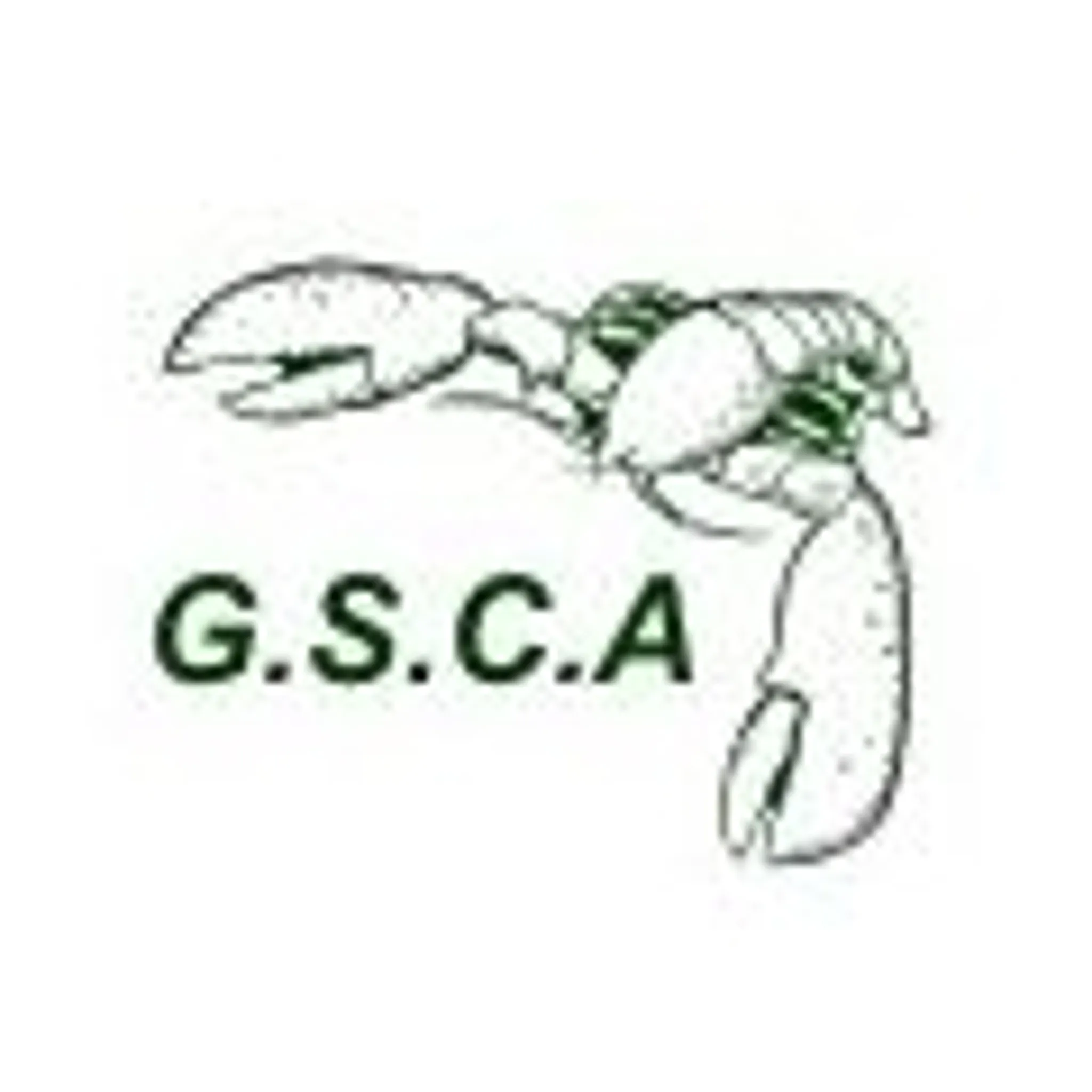 Great Southern Cricket Association