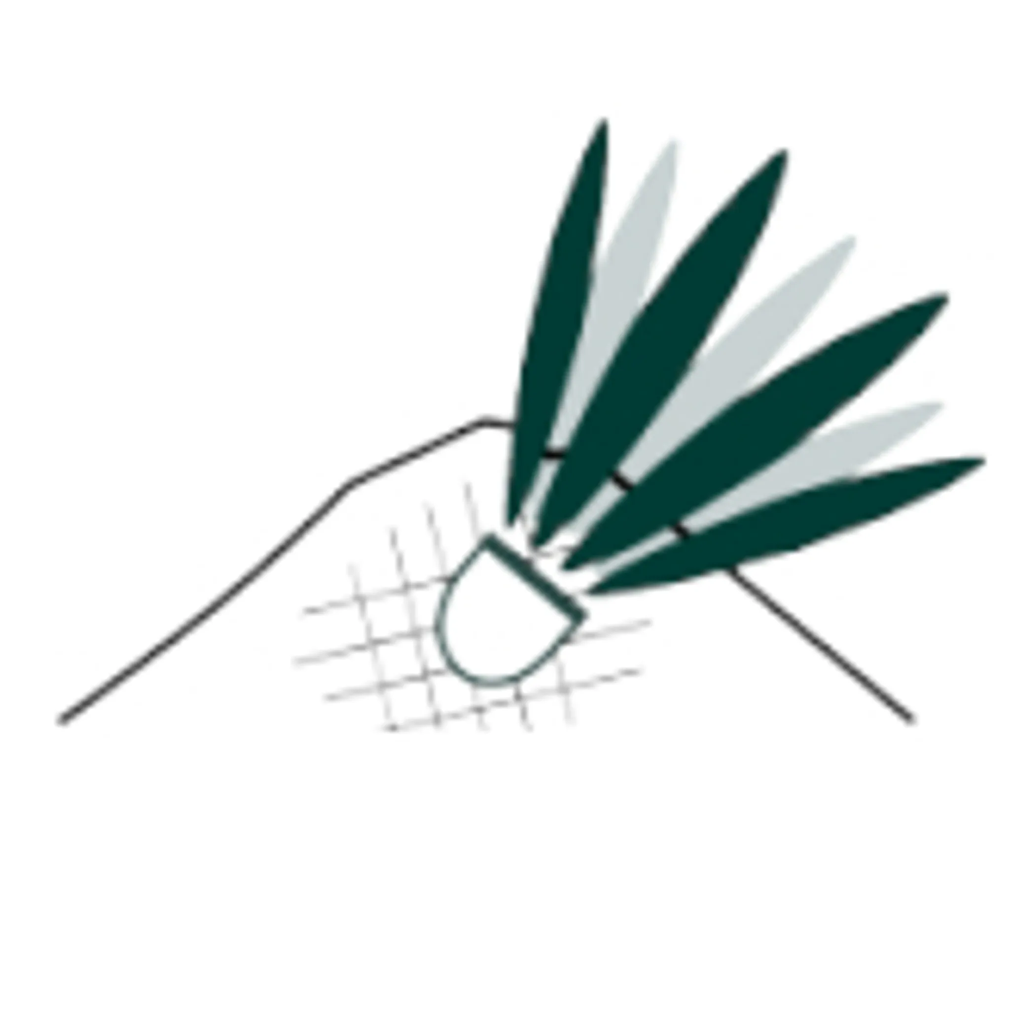 Southern Tasmania Badminton Association