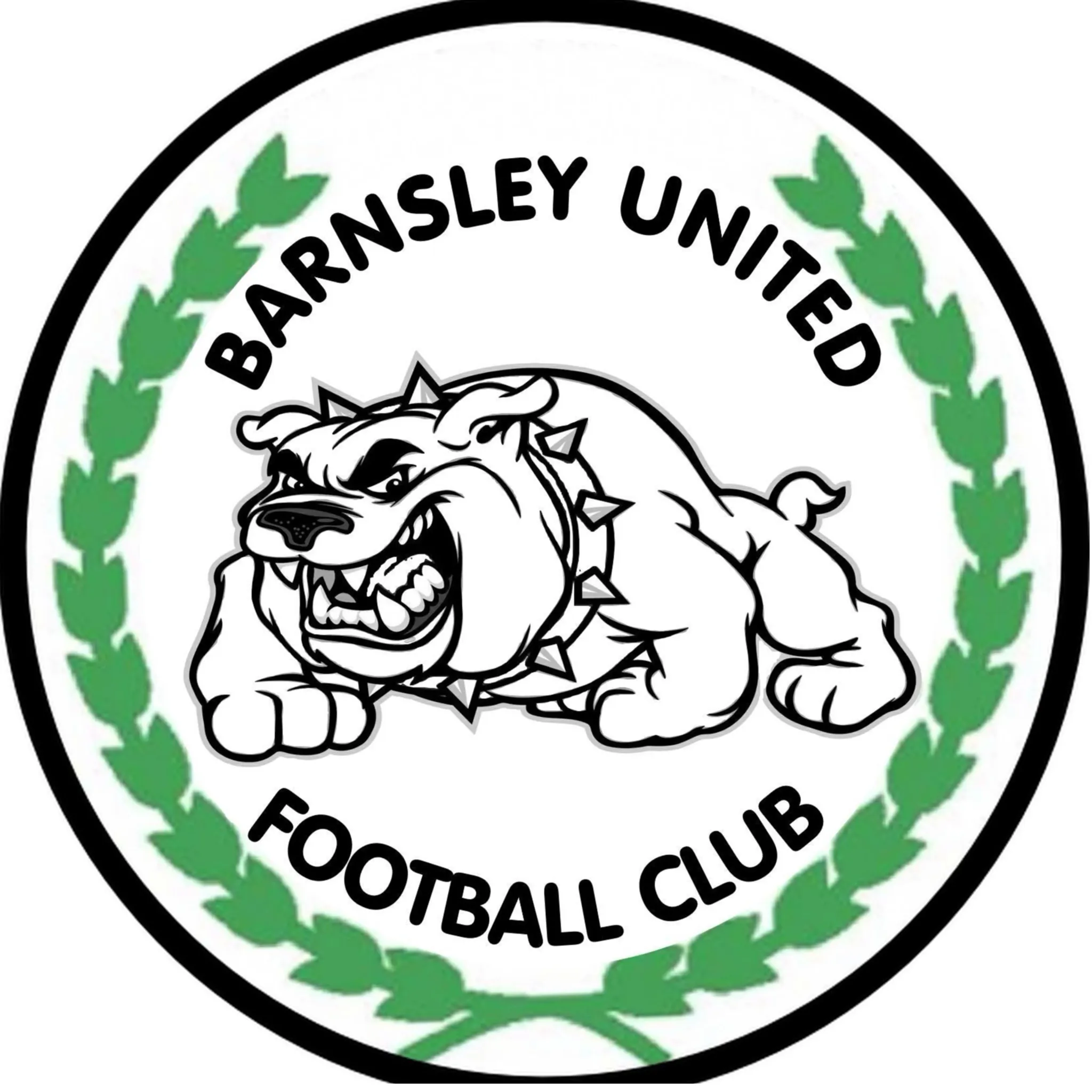Barnsley United Football Club