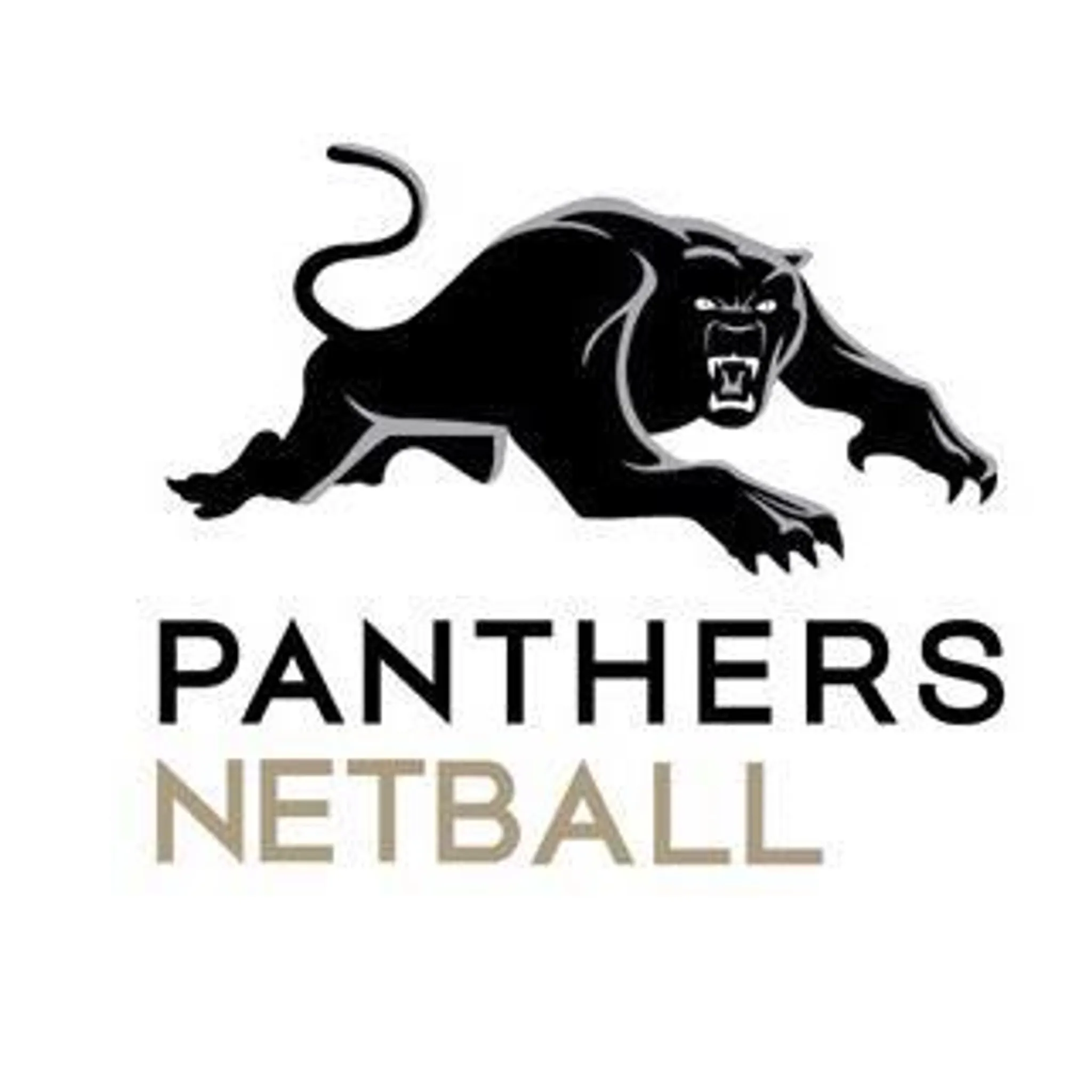 Panthers Premier League Netball