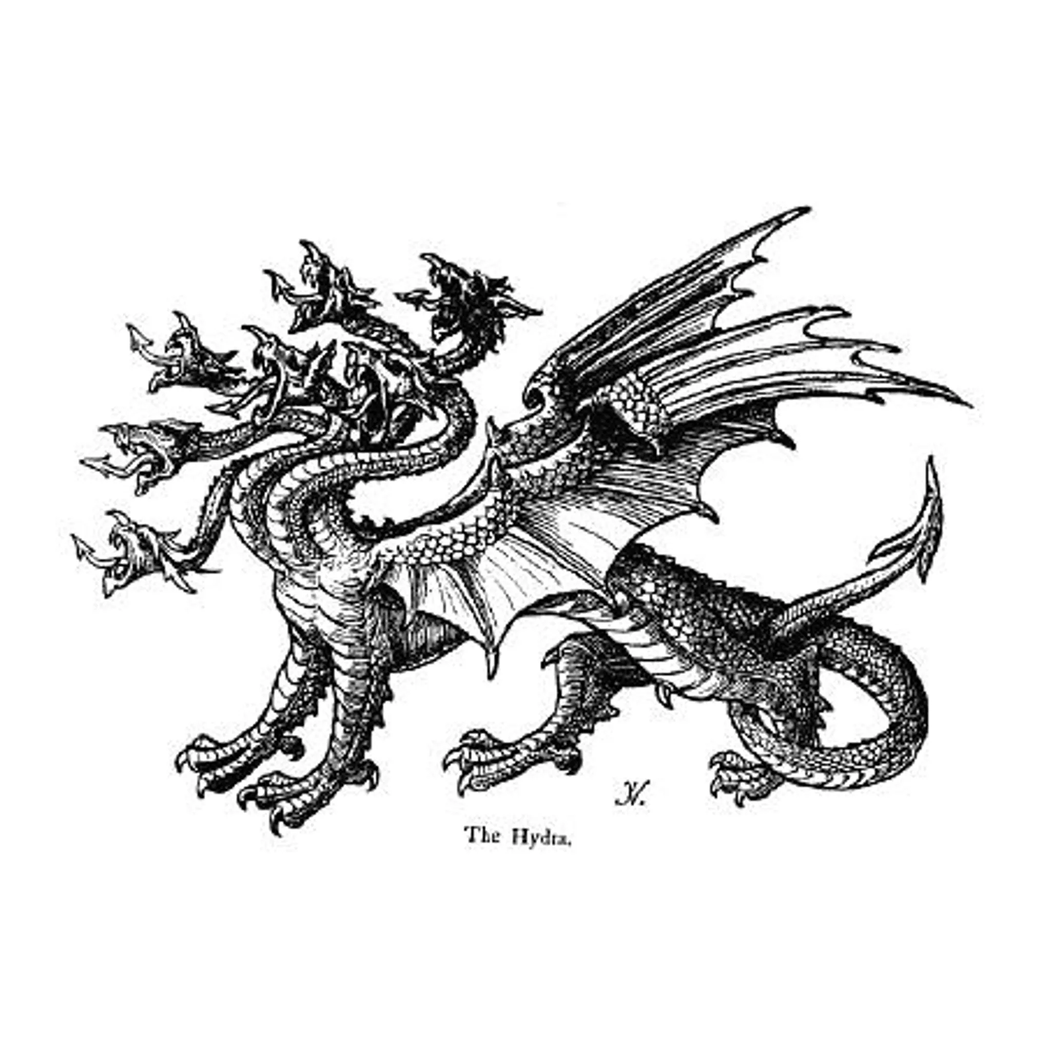 Canungra Area Golf Club