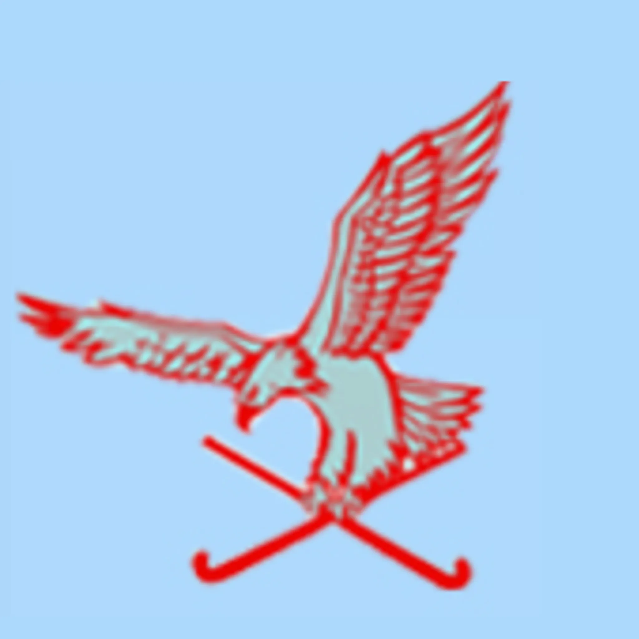 Northern Suburbs Women's and Junior Girls Hockey Club