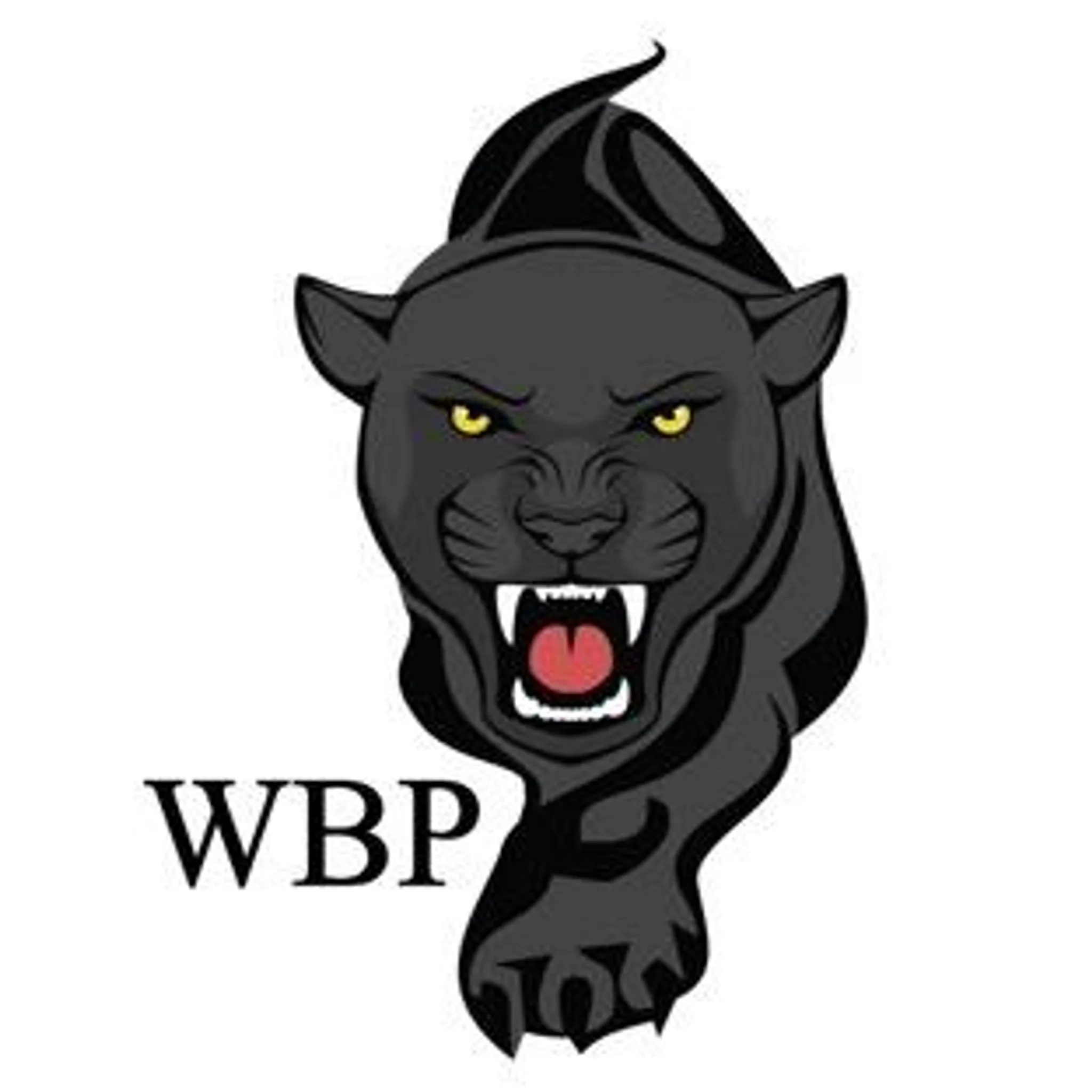 West Brisbane Panthers Ltd