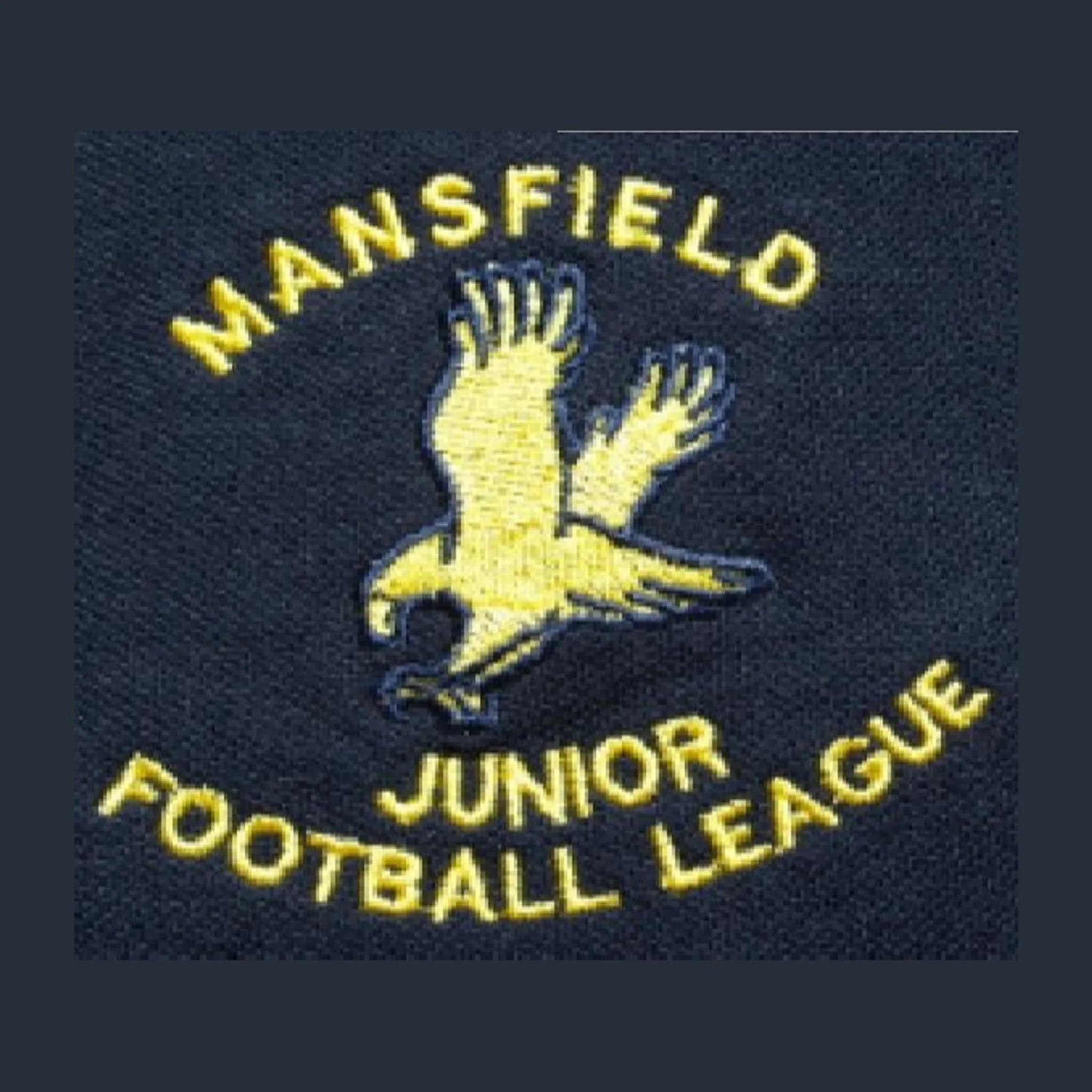 Mansfield Junior Football Club